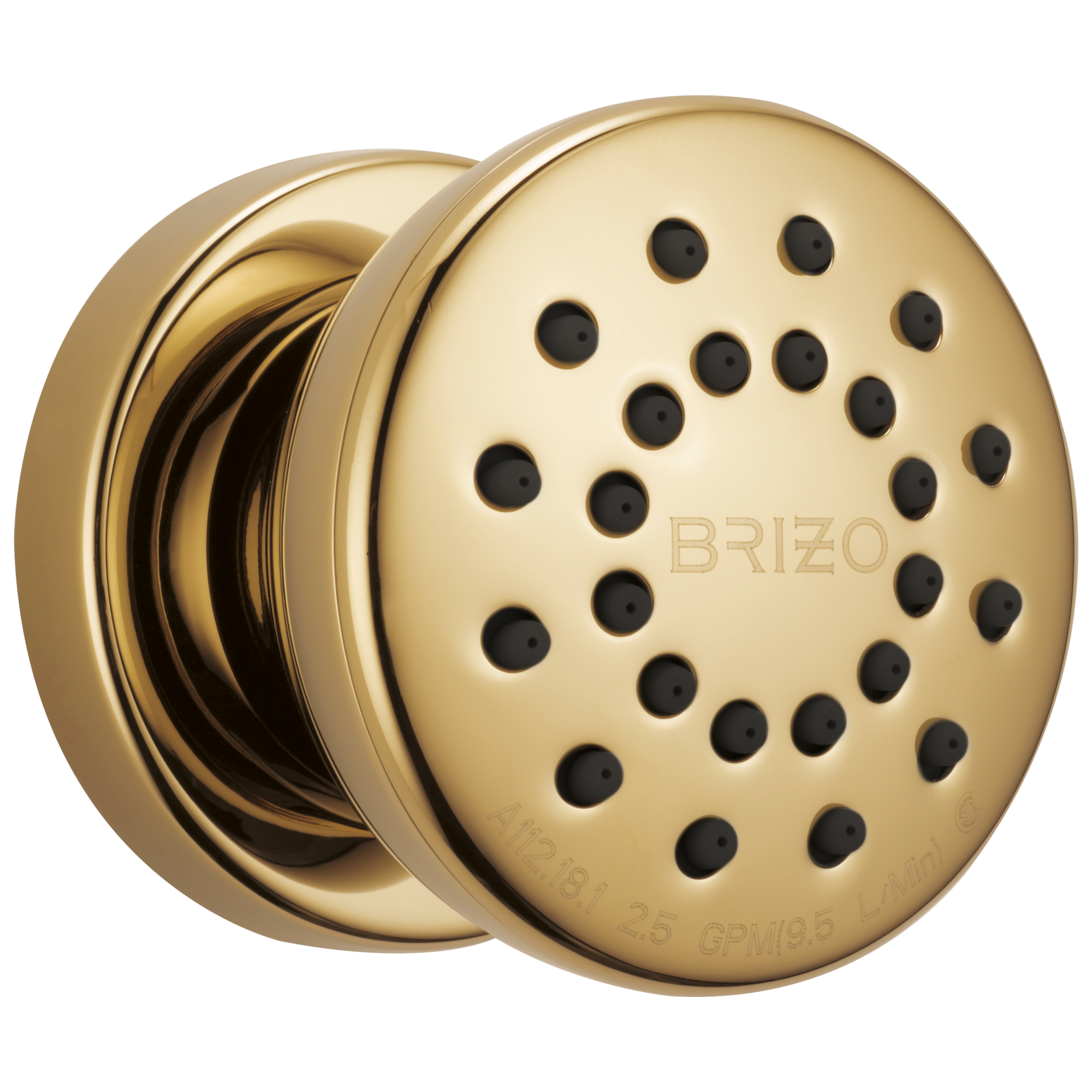 Brizo Universal Showering Touch-Clean Round Body Spray by Brizo