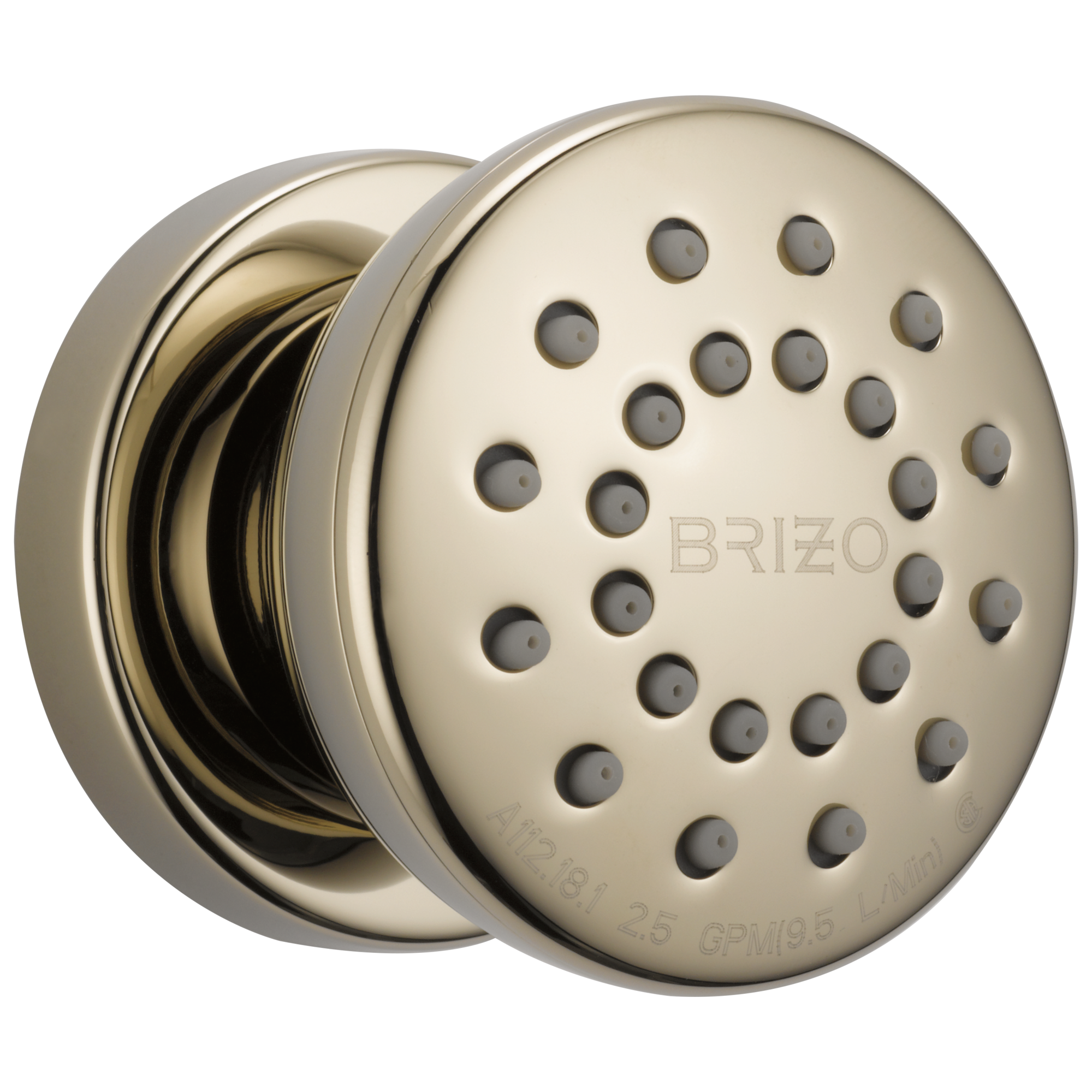 Brizo Universal Showering Touch-Clean Round Body Spray by Brizo