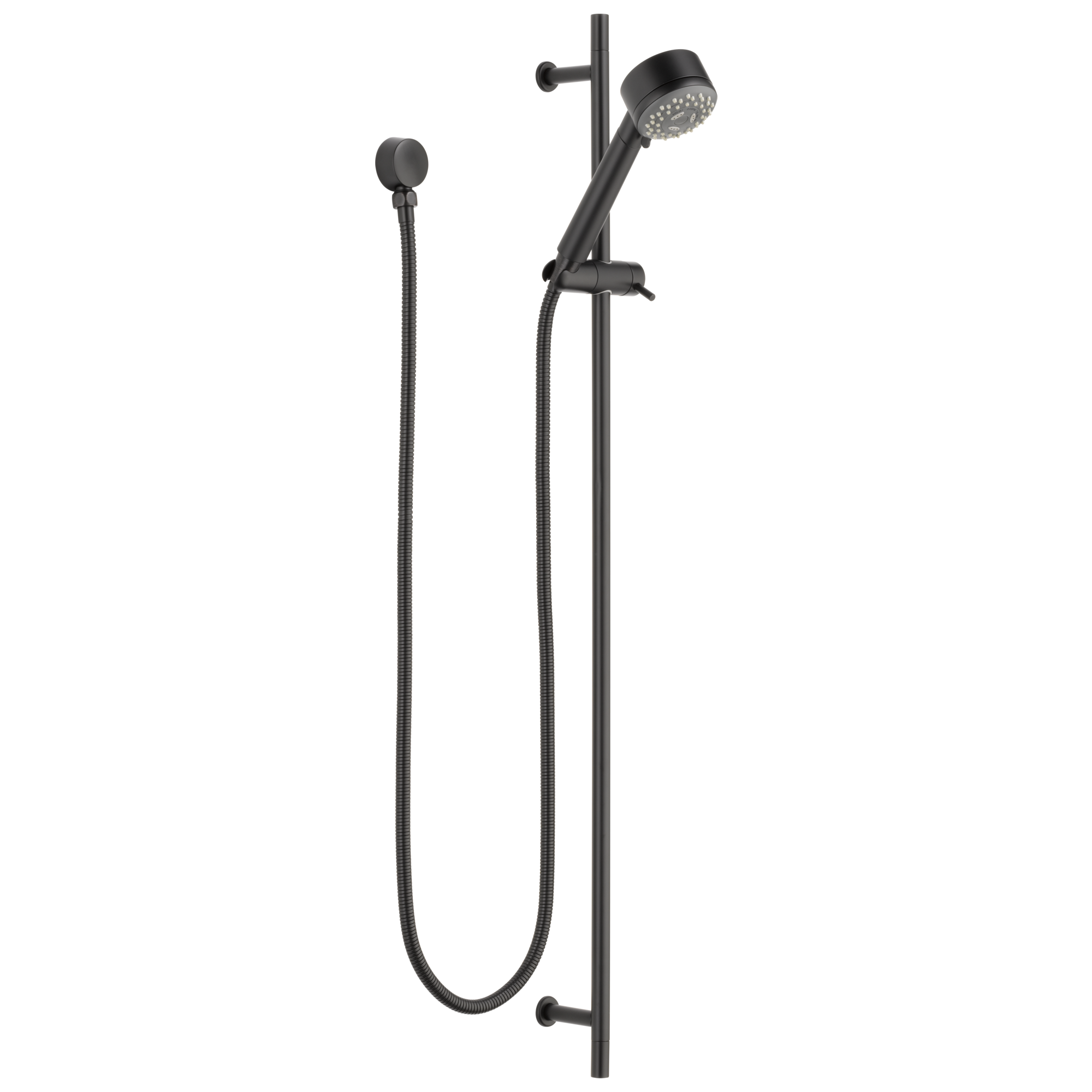Brizo European Multi-Function Slide Bar Hand Shower