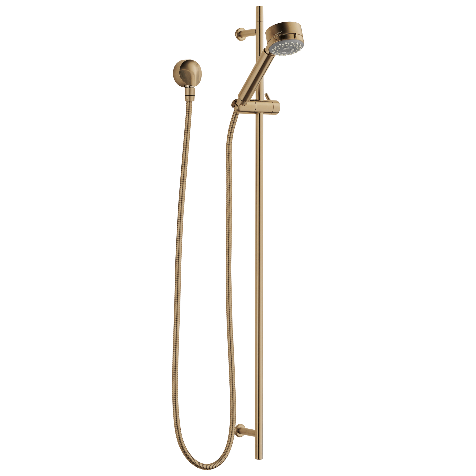 Brizo European Multi-Function Slide Bar Hand Shower