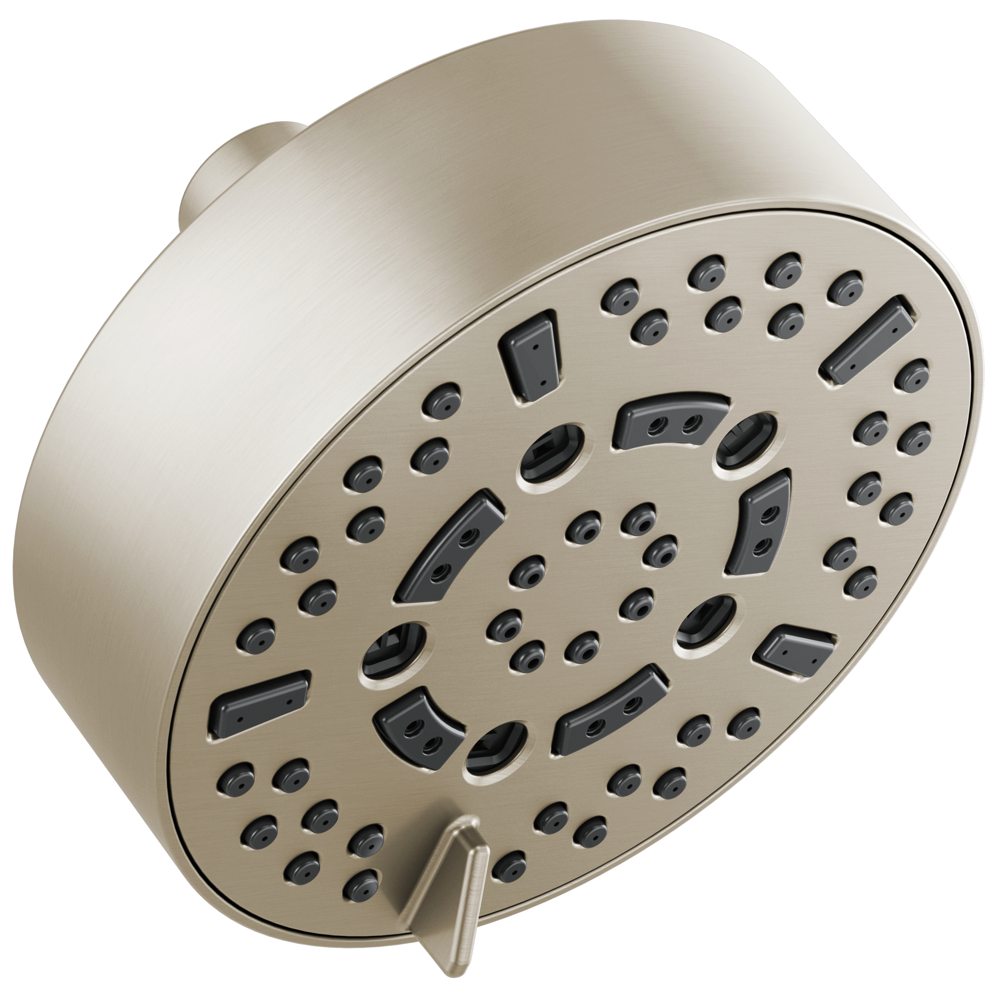 brushed nickel shower head