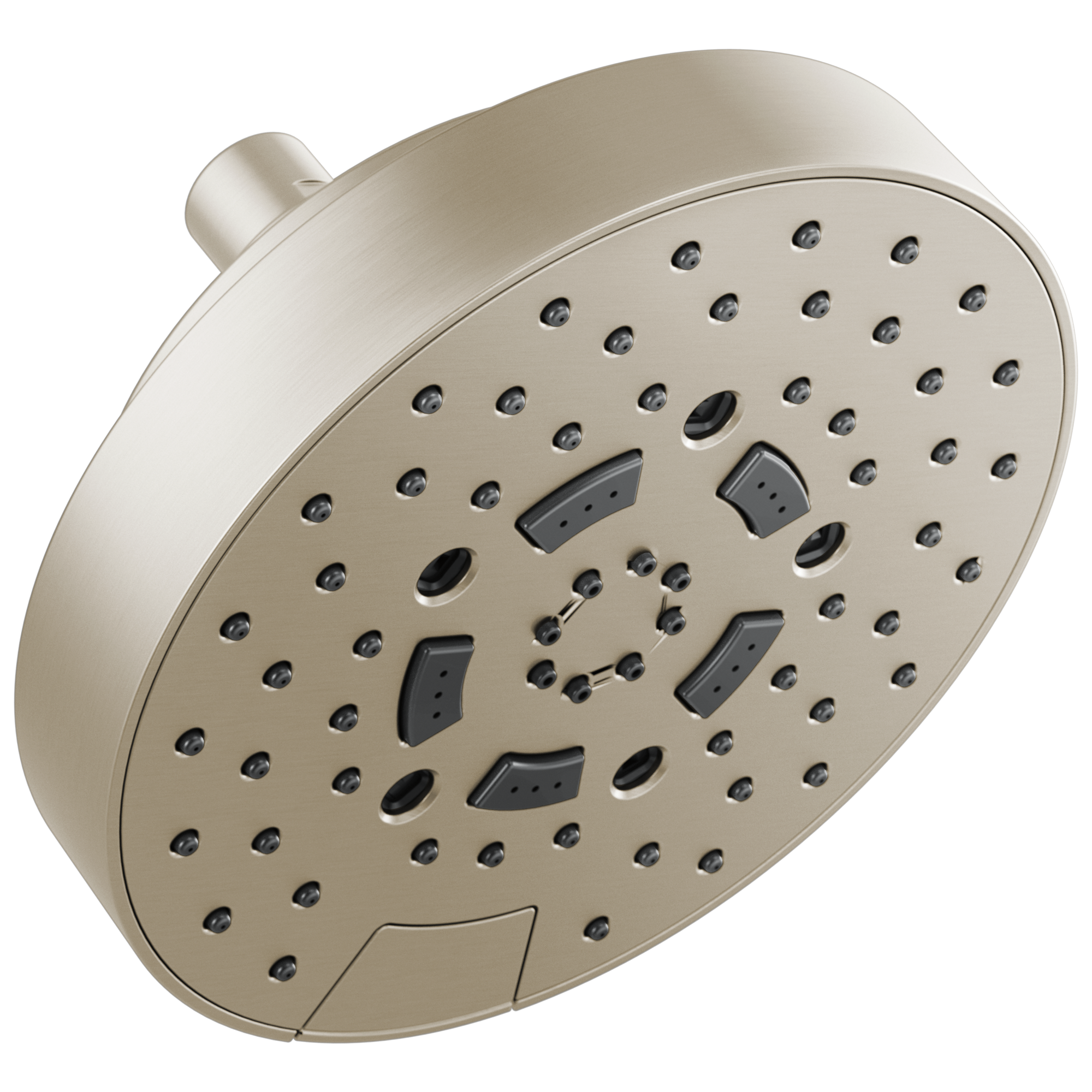 brushed nickel shower head