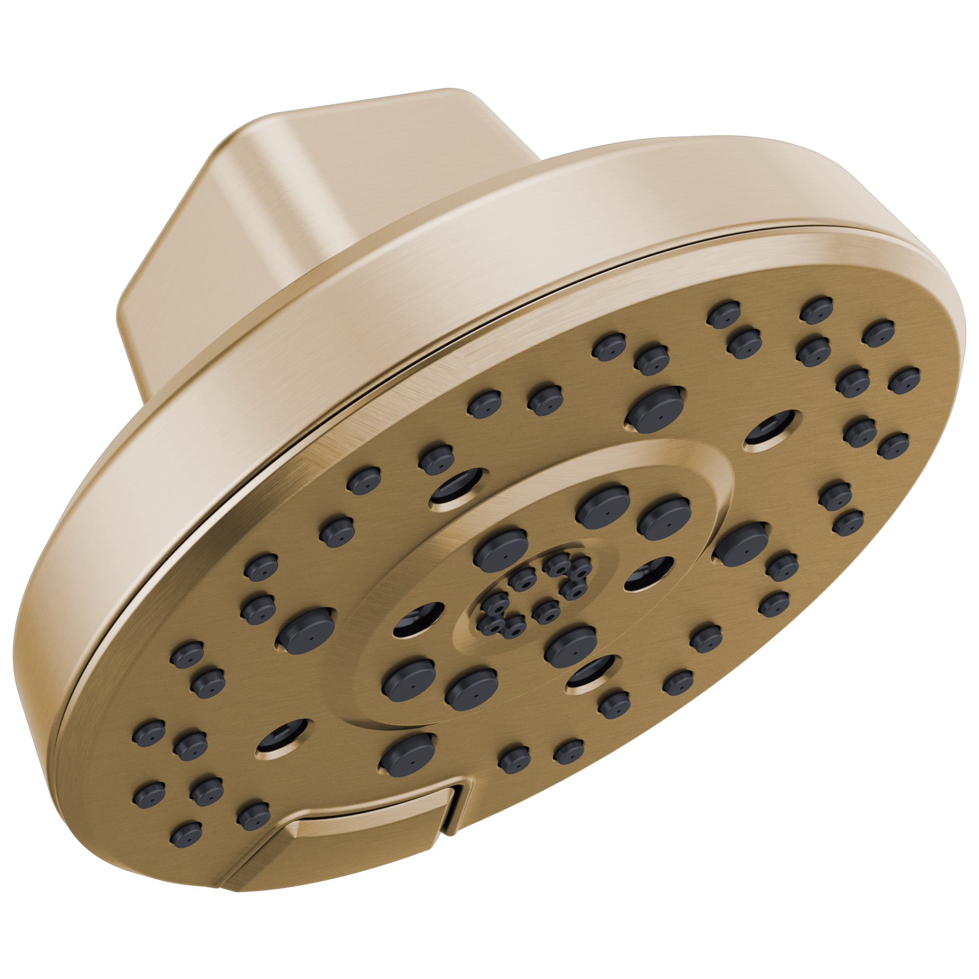 Brizo Levoir H2Okinetic Round Multi-Function Showerhead by Brizo