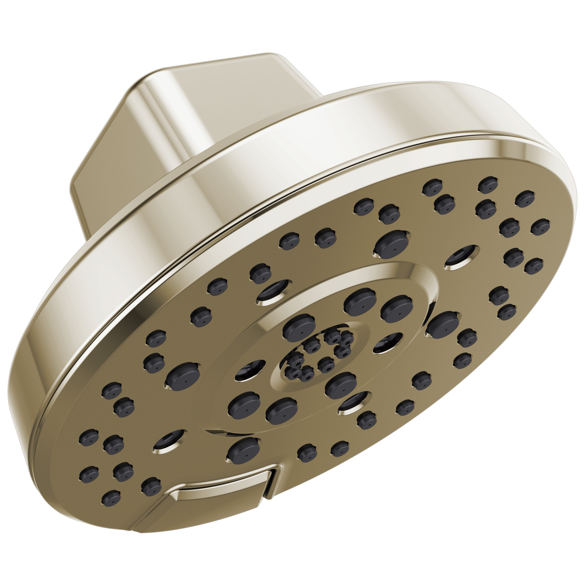 Brizo Levoir H2Okinetic Round Multi-Function Showerhead by Brizo