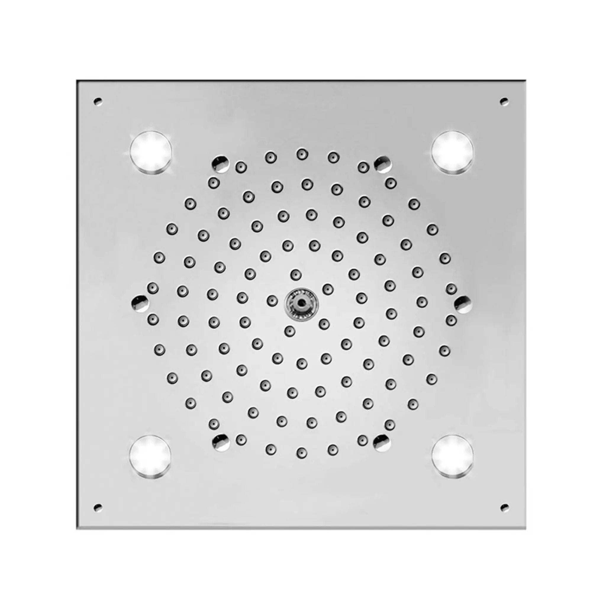 polished chrome shower head