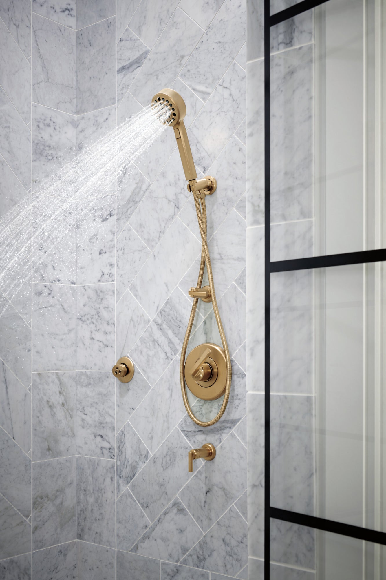 luxe gold handshower