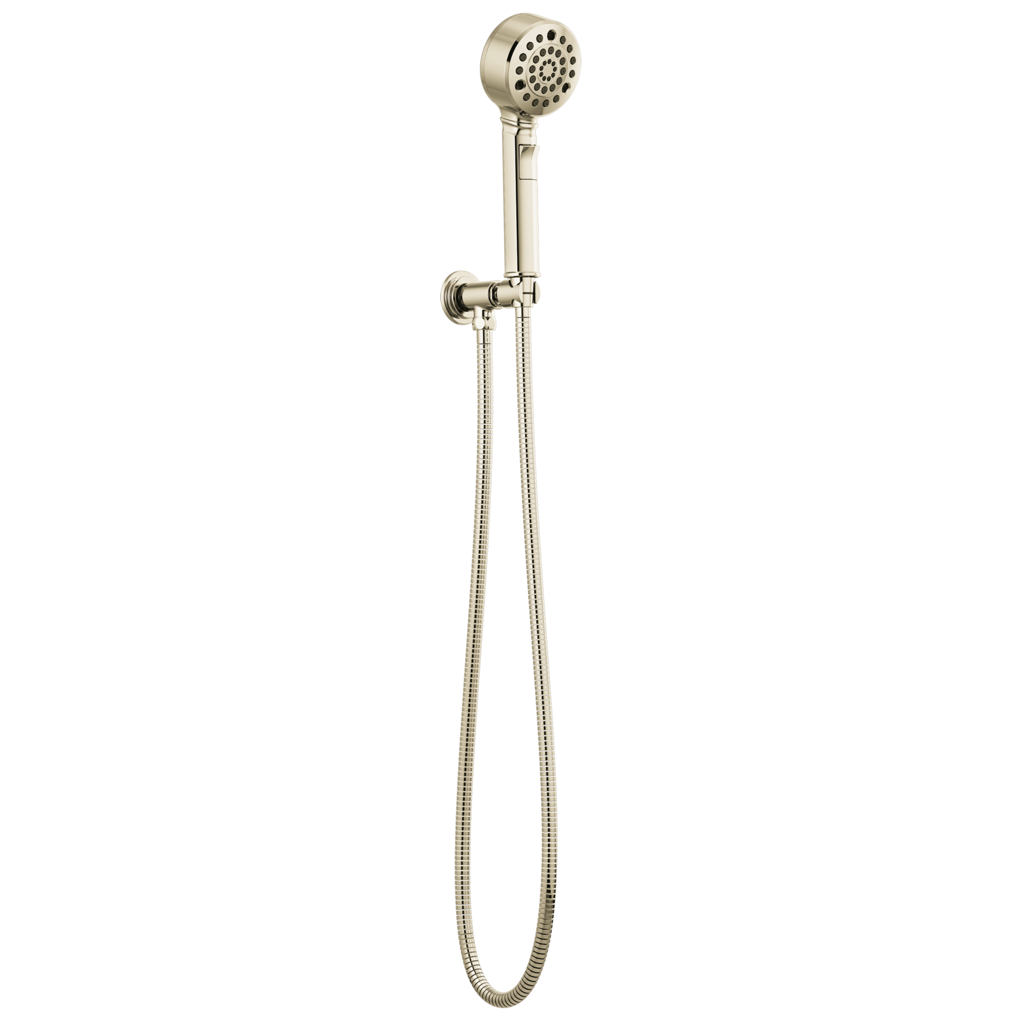 Brizo Invari H2Okinetic Multi-Function Wall Mount Handshower by Brizo