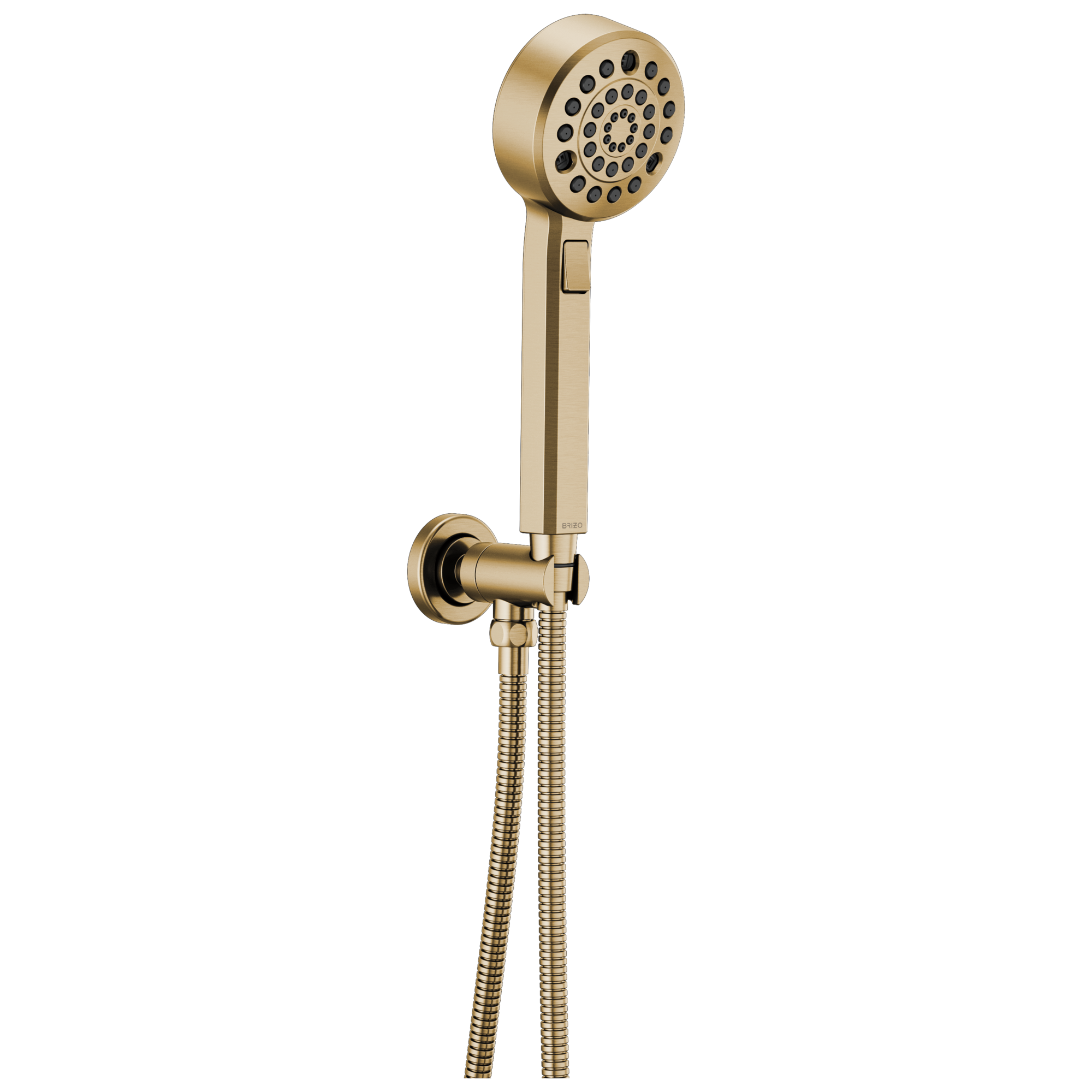 Brizo Levoir H2Okinetic Multi-Function Wall Mount Handshower by Brizo