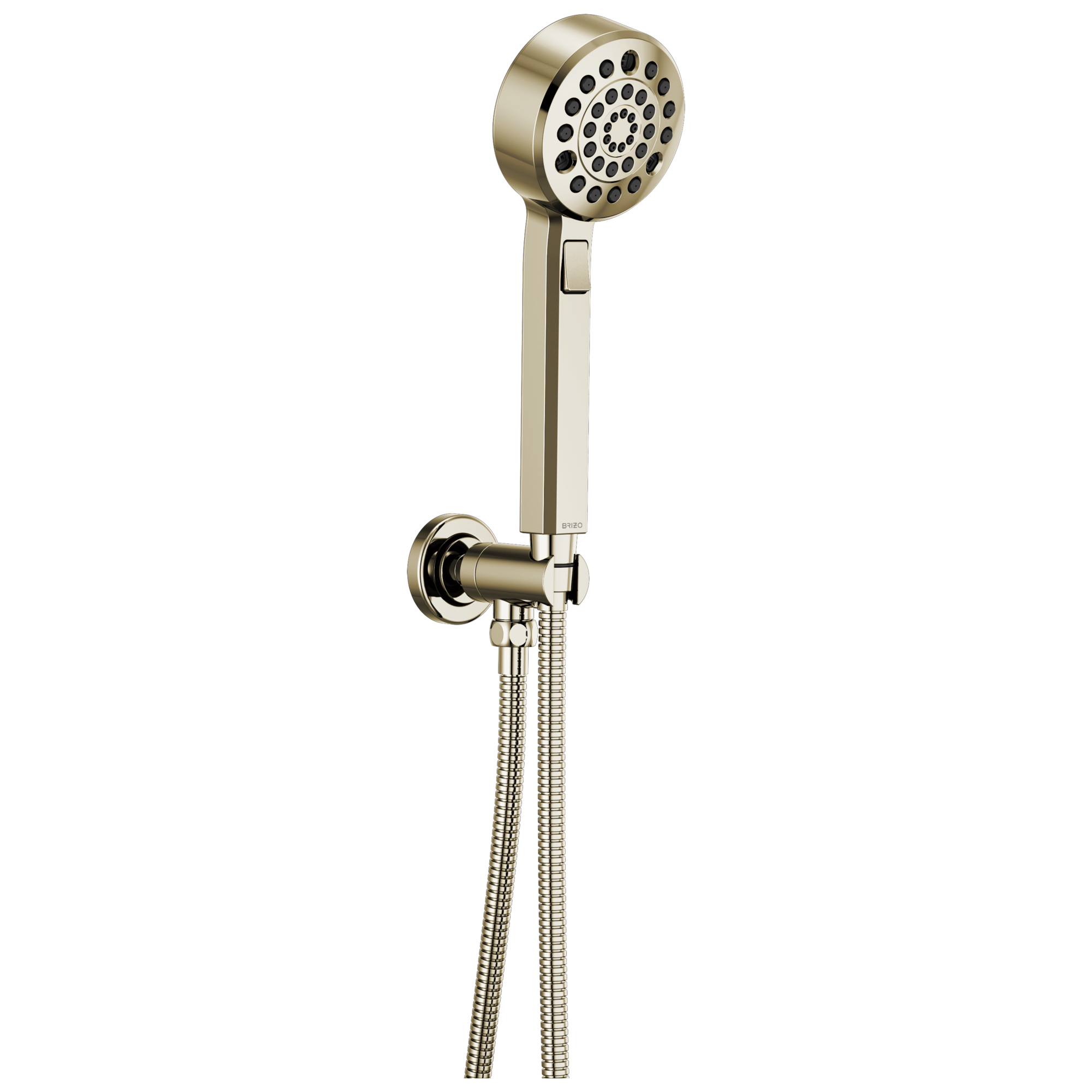 Brizo Levoir H2Okinetic Multi-Function Wall Mount Handshower by Brizo