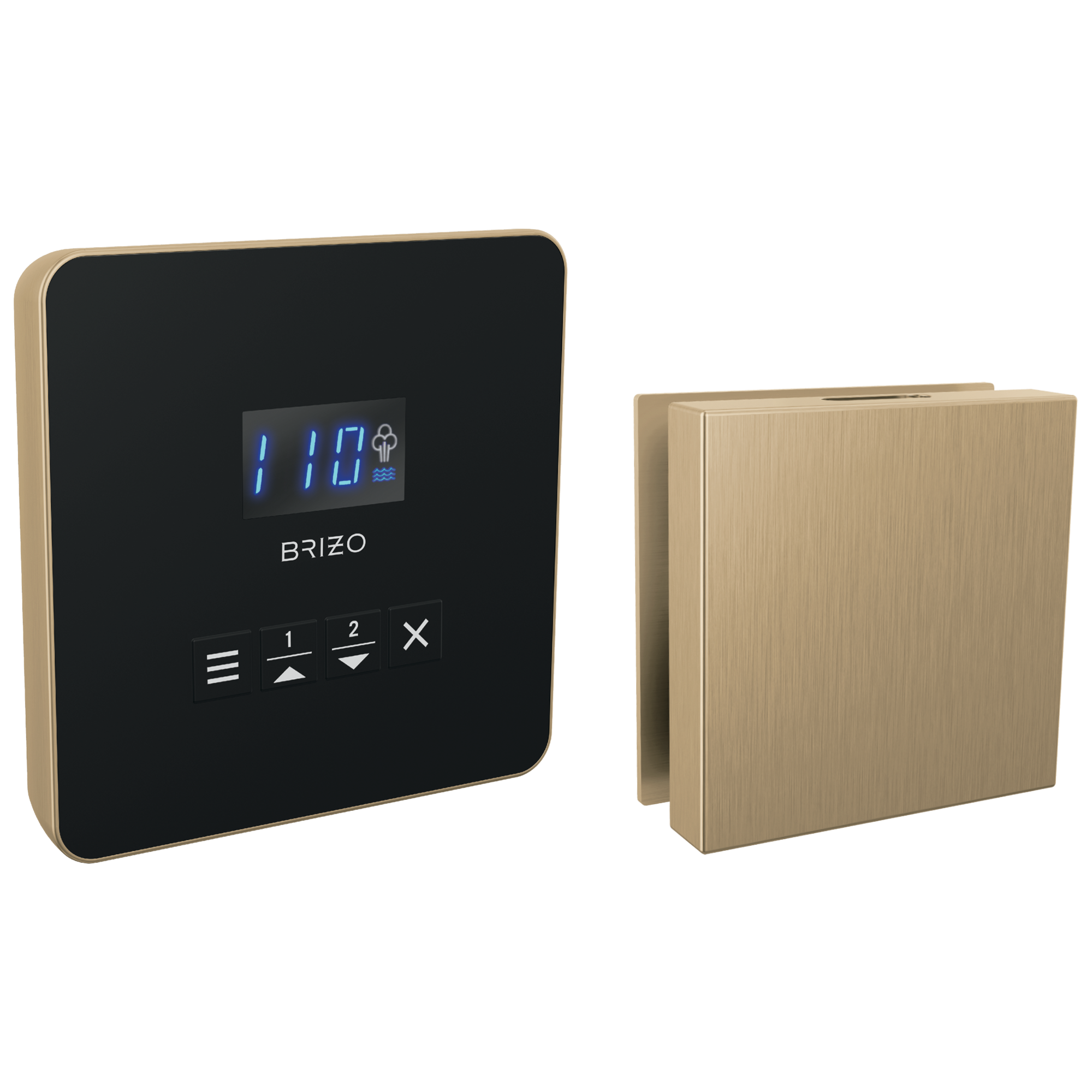 Brizo Square Steam Set