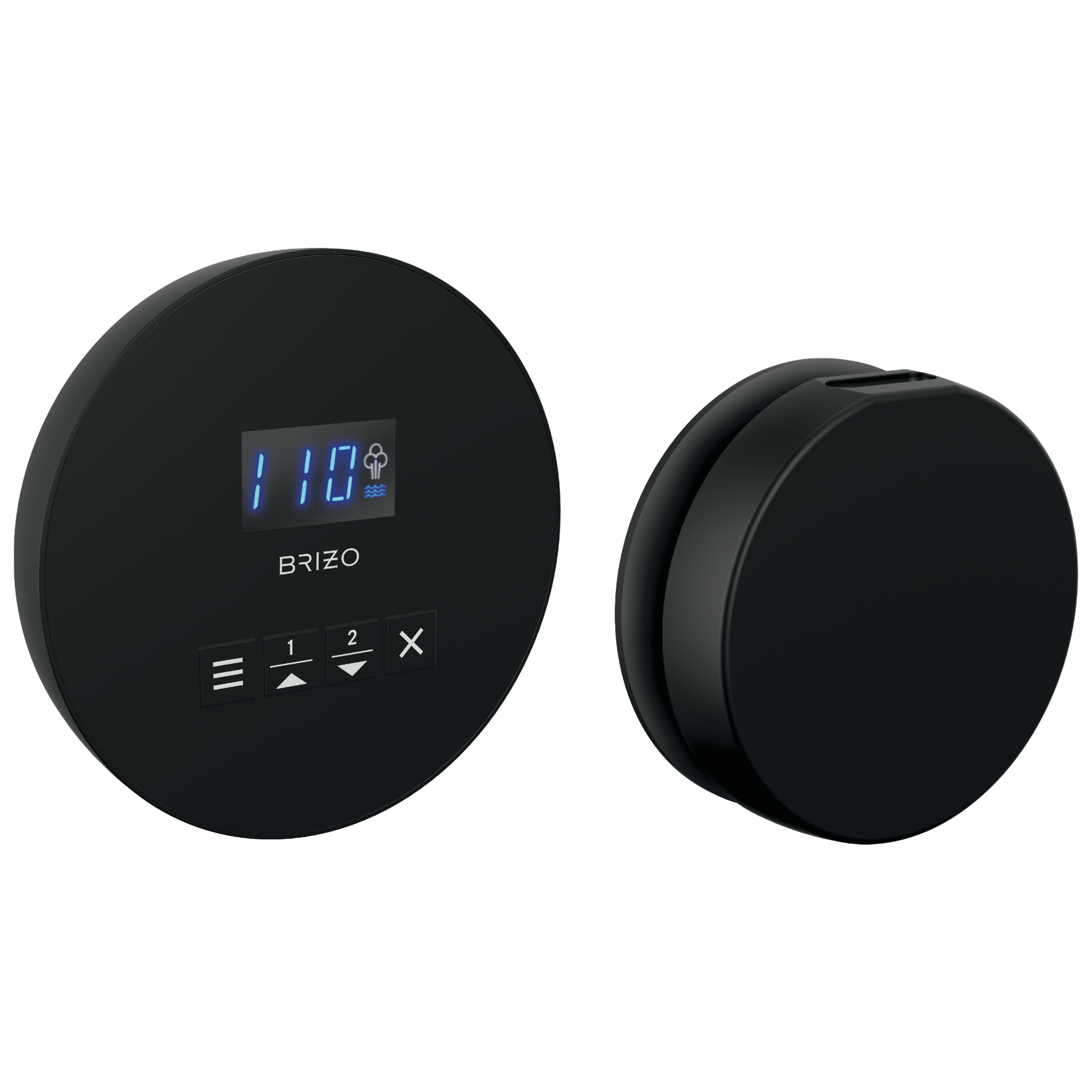 Brizo Round Steam Set