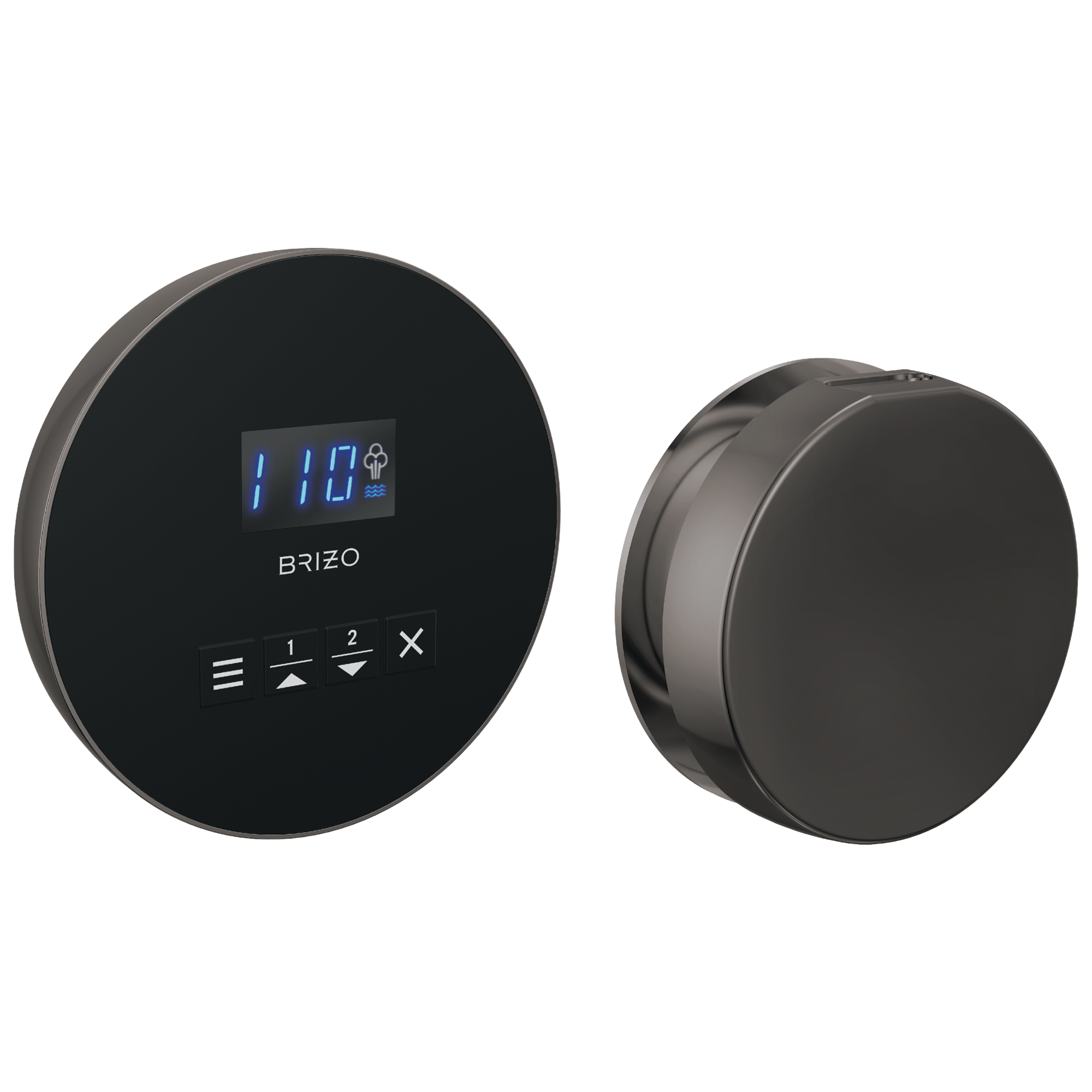 Brizo Round Steam Set