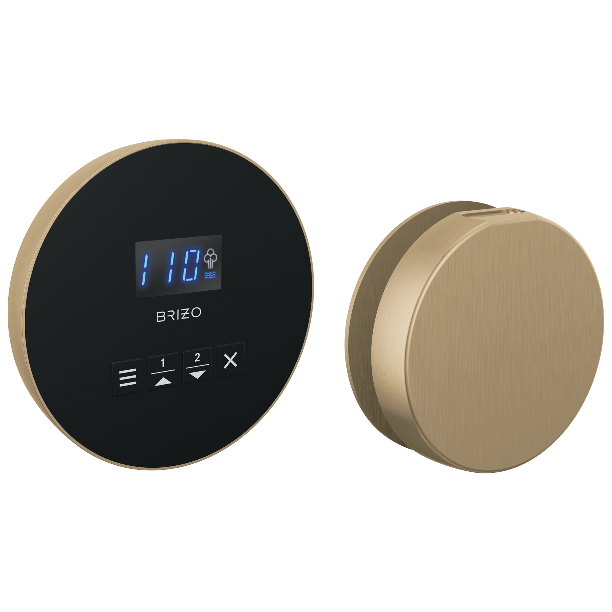 Brizo Round Steam Set