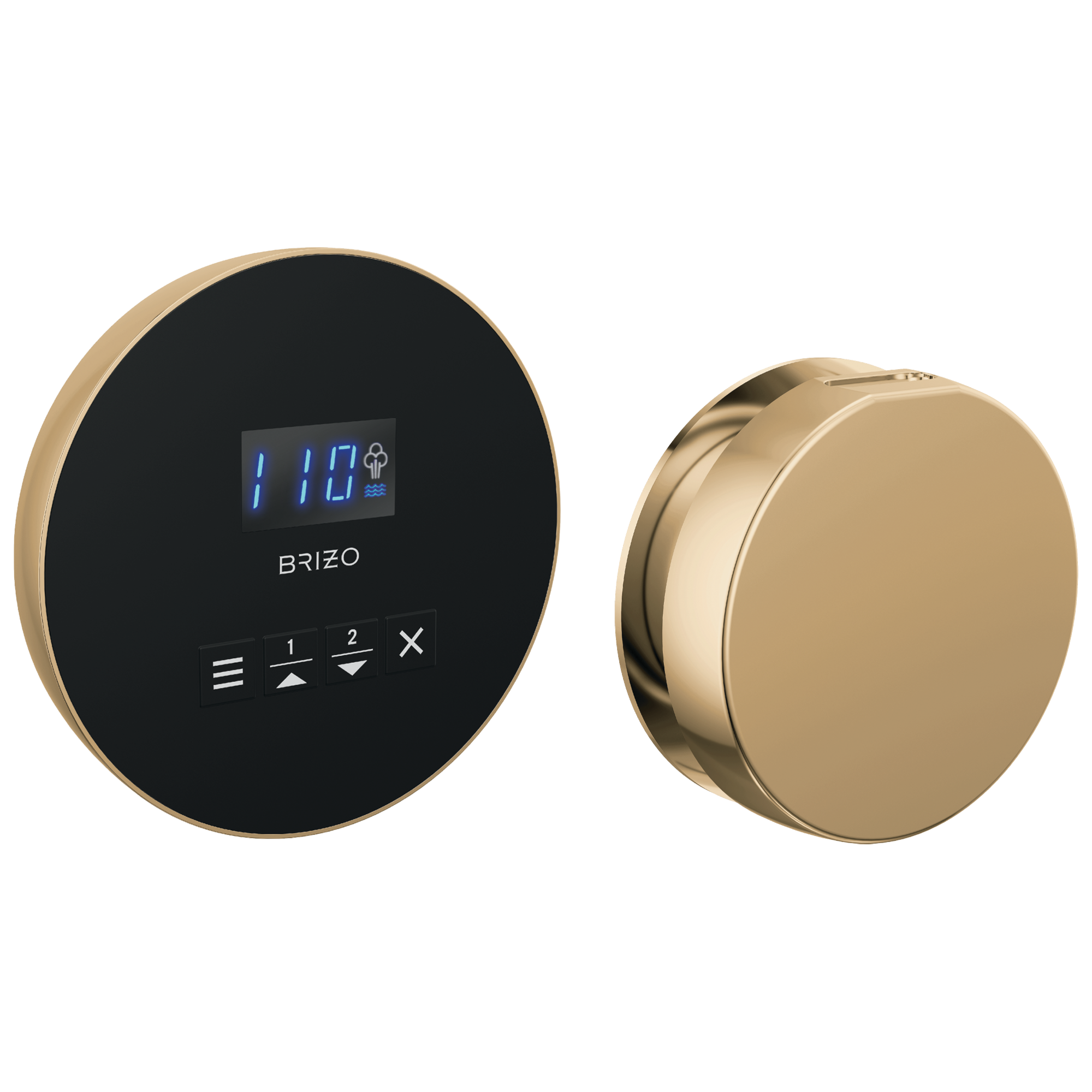 Brizo Round Steam Set