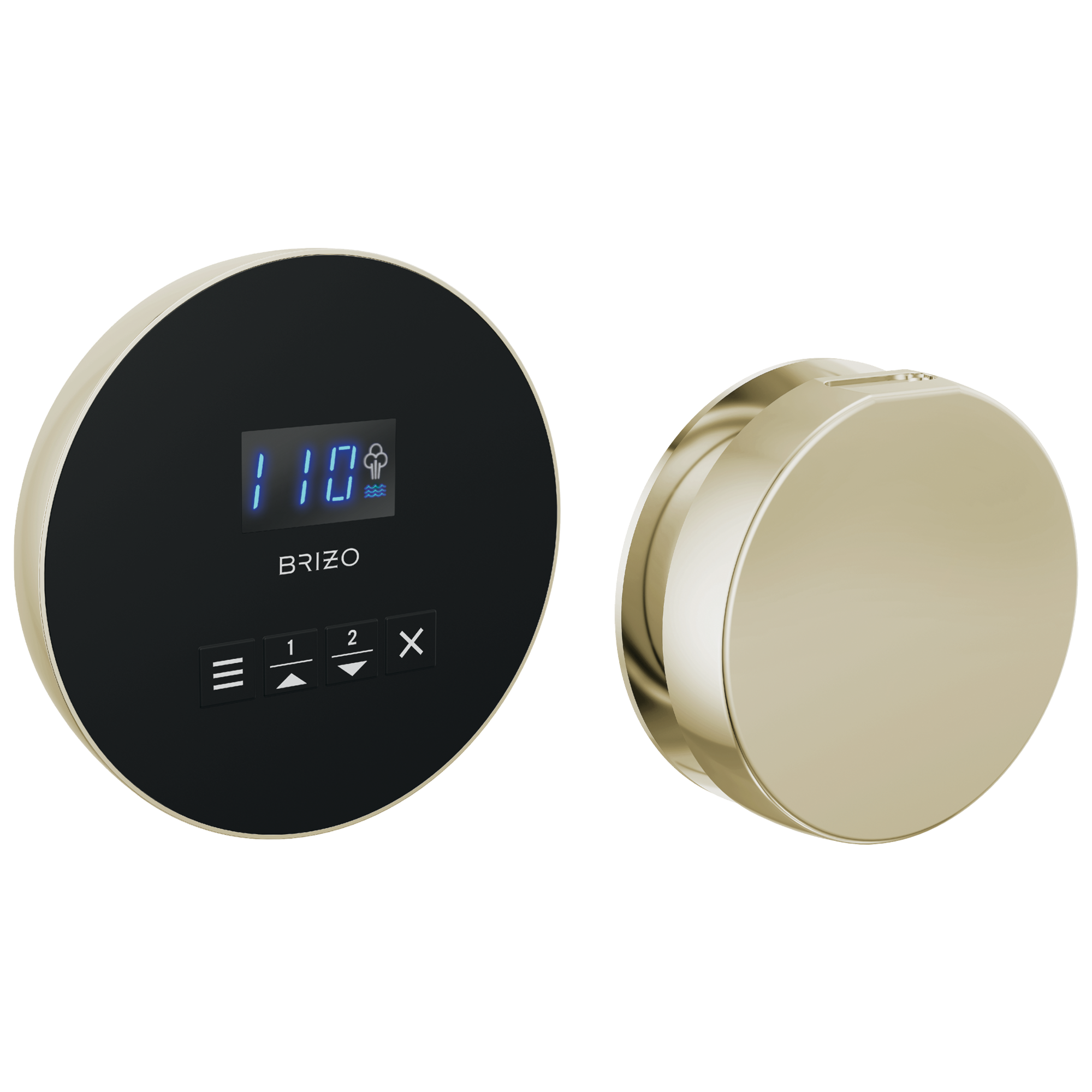 Brizo Round Steam Set