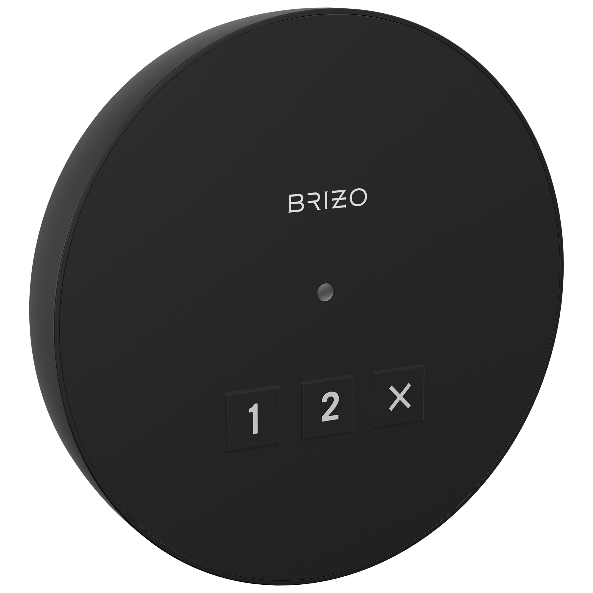 Brizo Round Exterior Control by Brizo