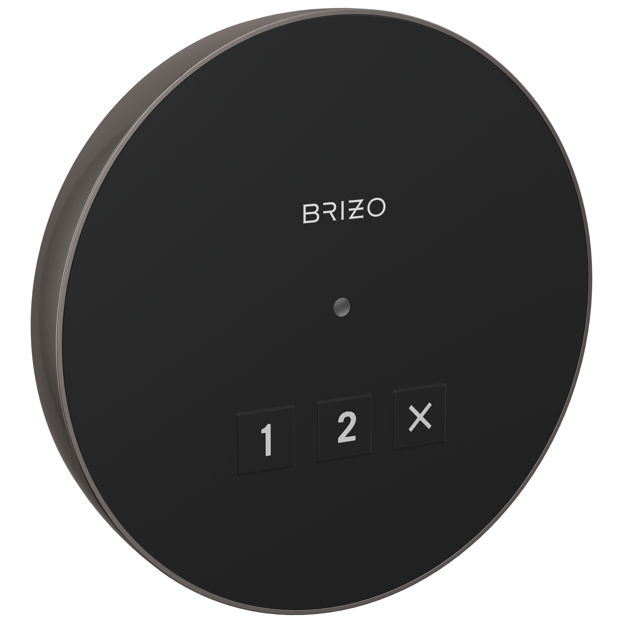 Brizo Round Exterior Control by Brizo