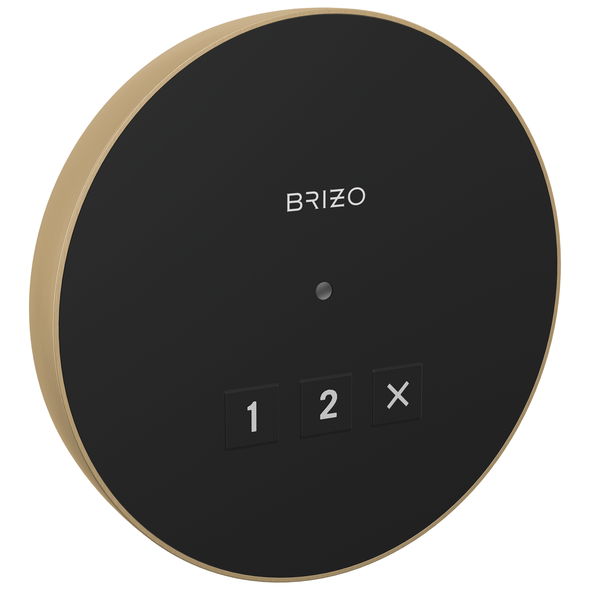 Brizo Round Exterior Control by Brizo