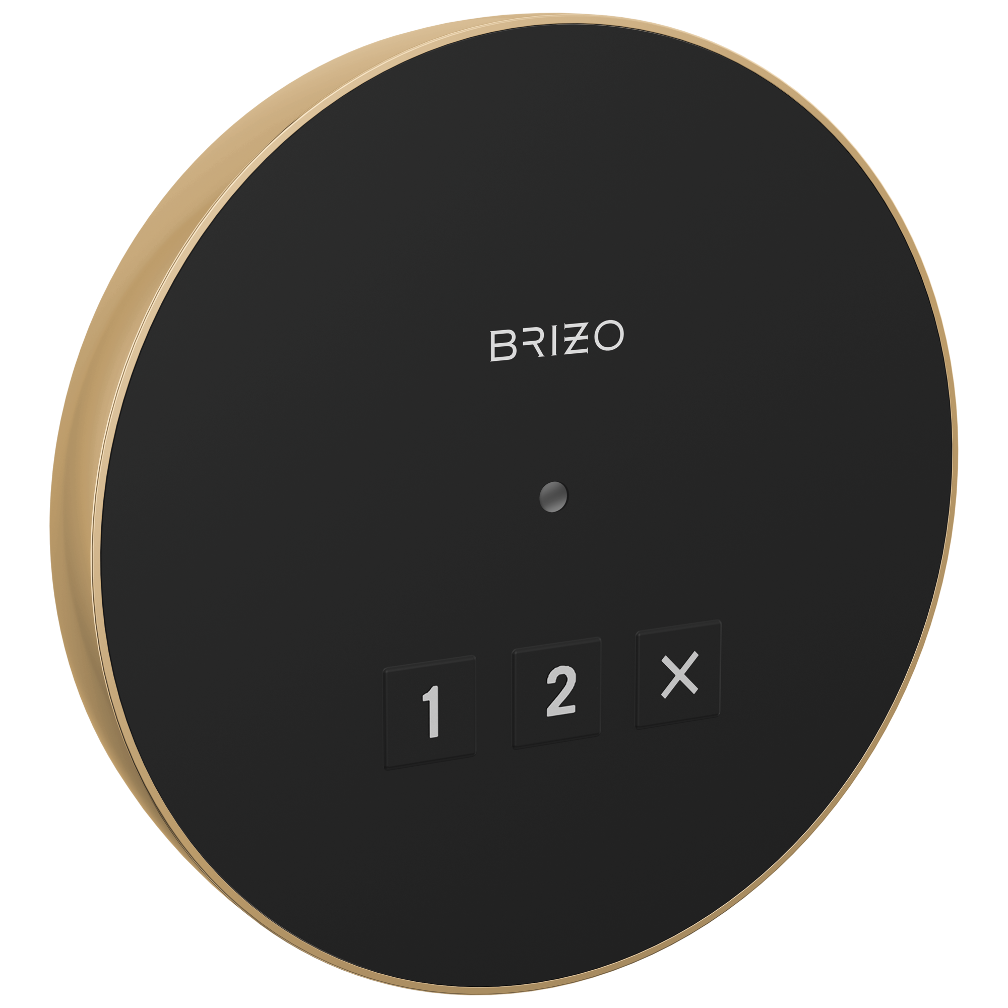 Brizo Round Exterior Control