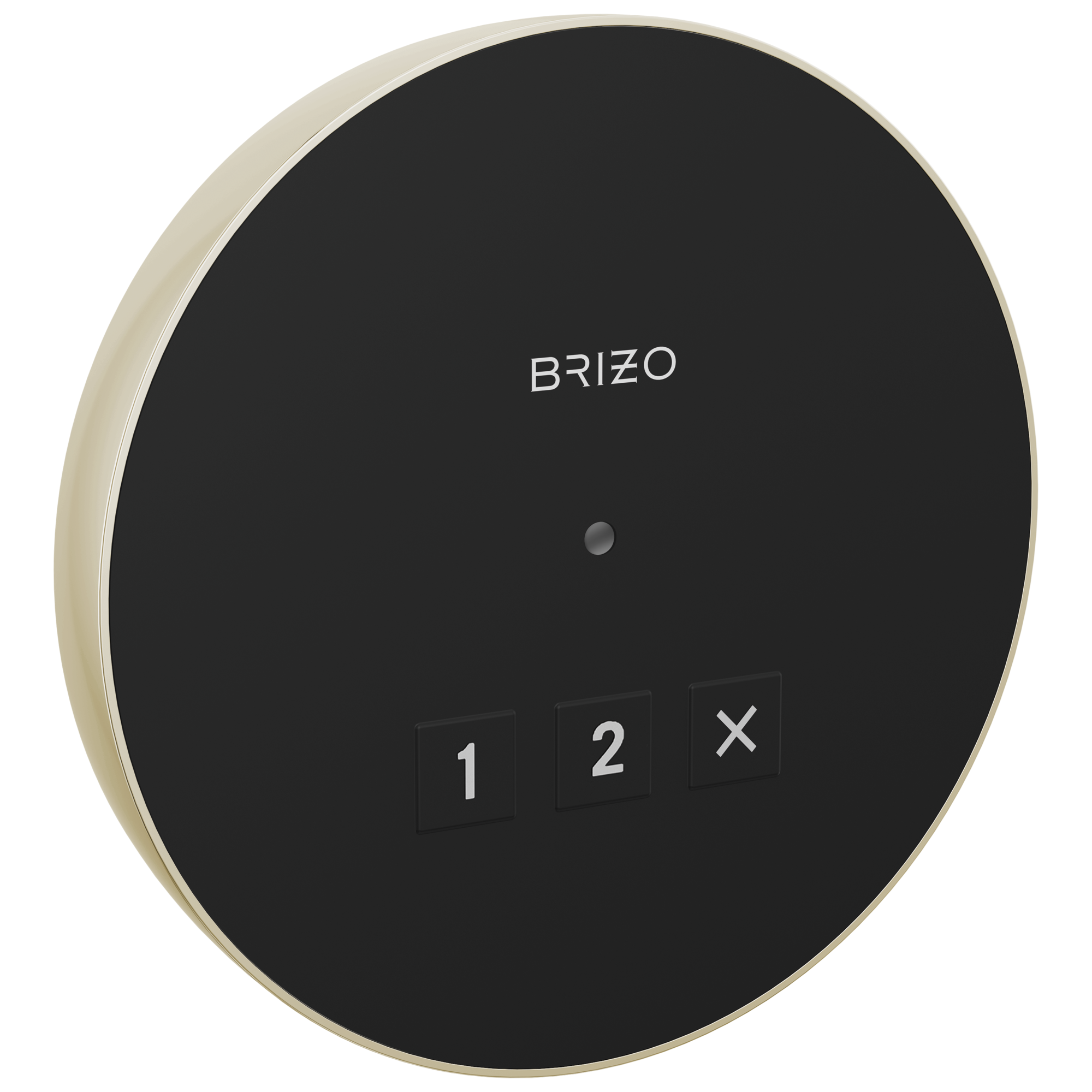 Brizo Round Exterior Control by Brizo