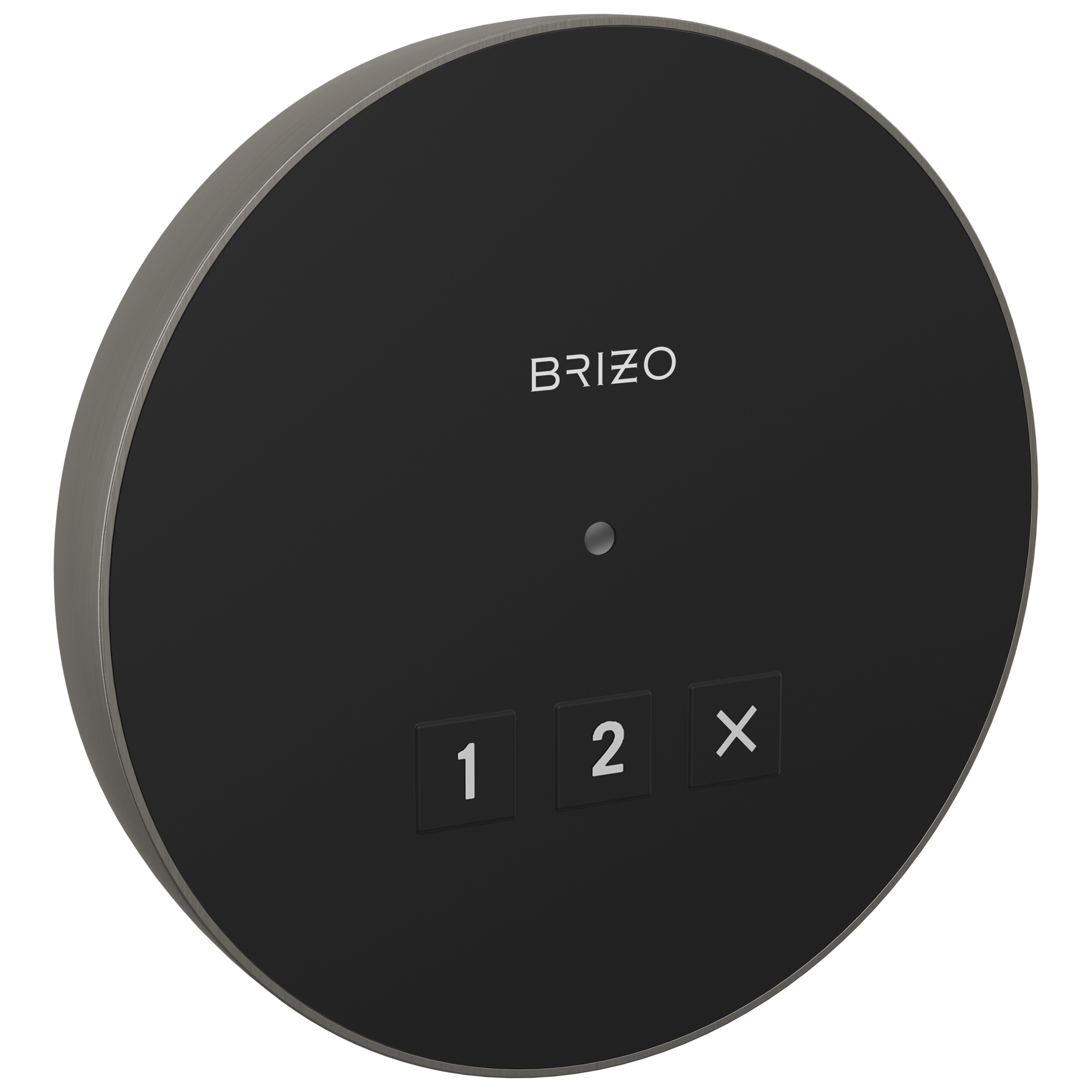 Brizo Round Exterior Control by Brizo