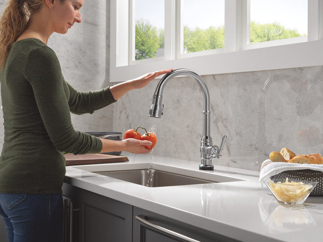 arctic stainless kitchen faucet