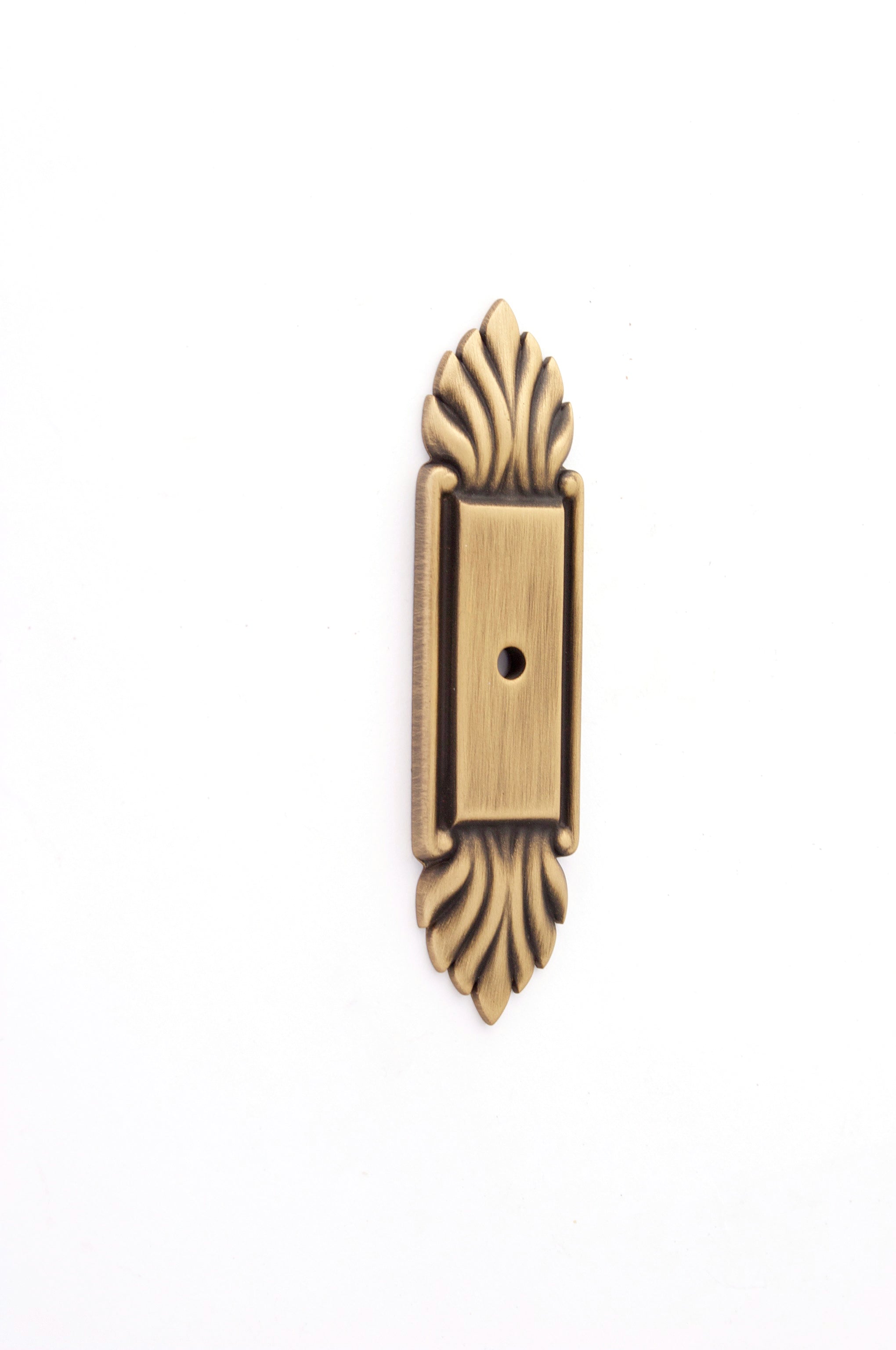 polished chrome backplate