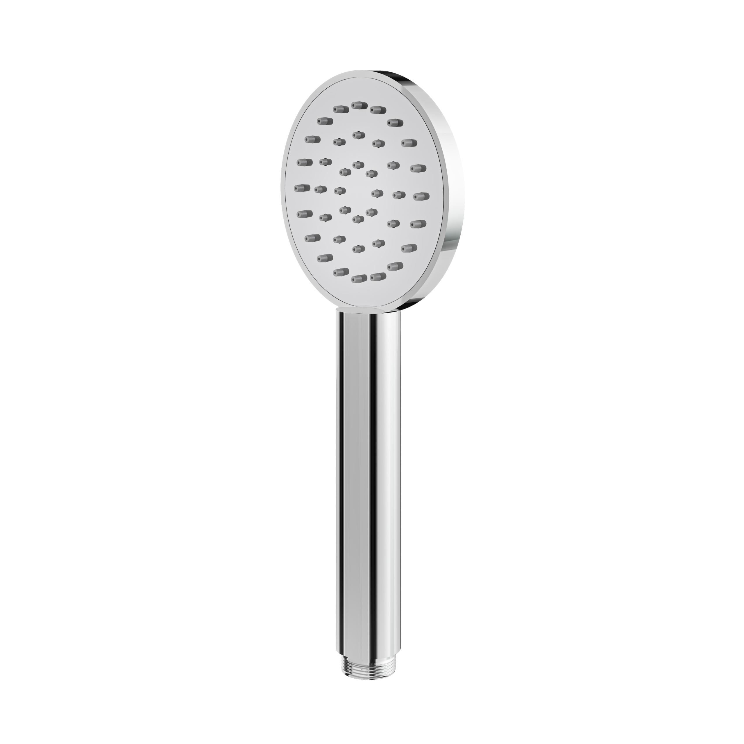 polished chrome hand shower