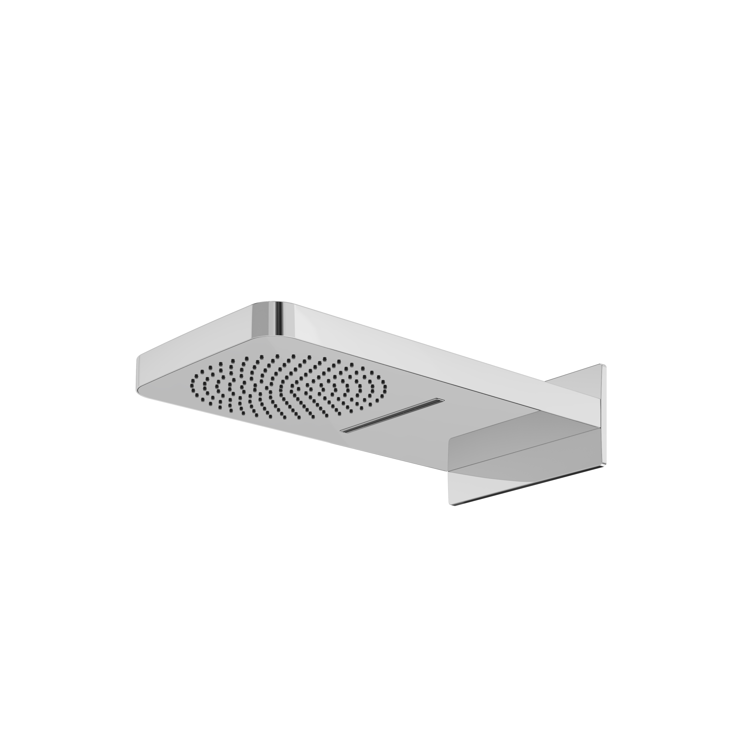 polished chrome shower head