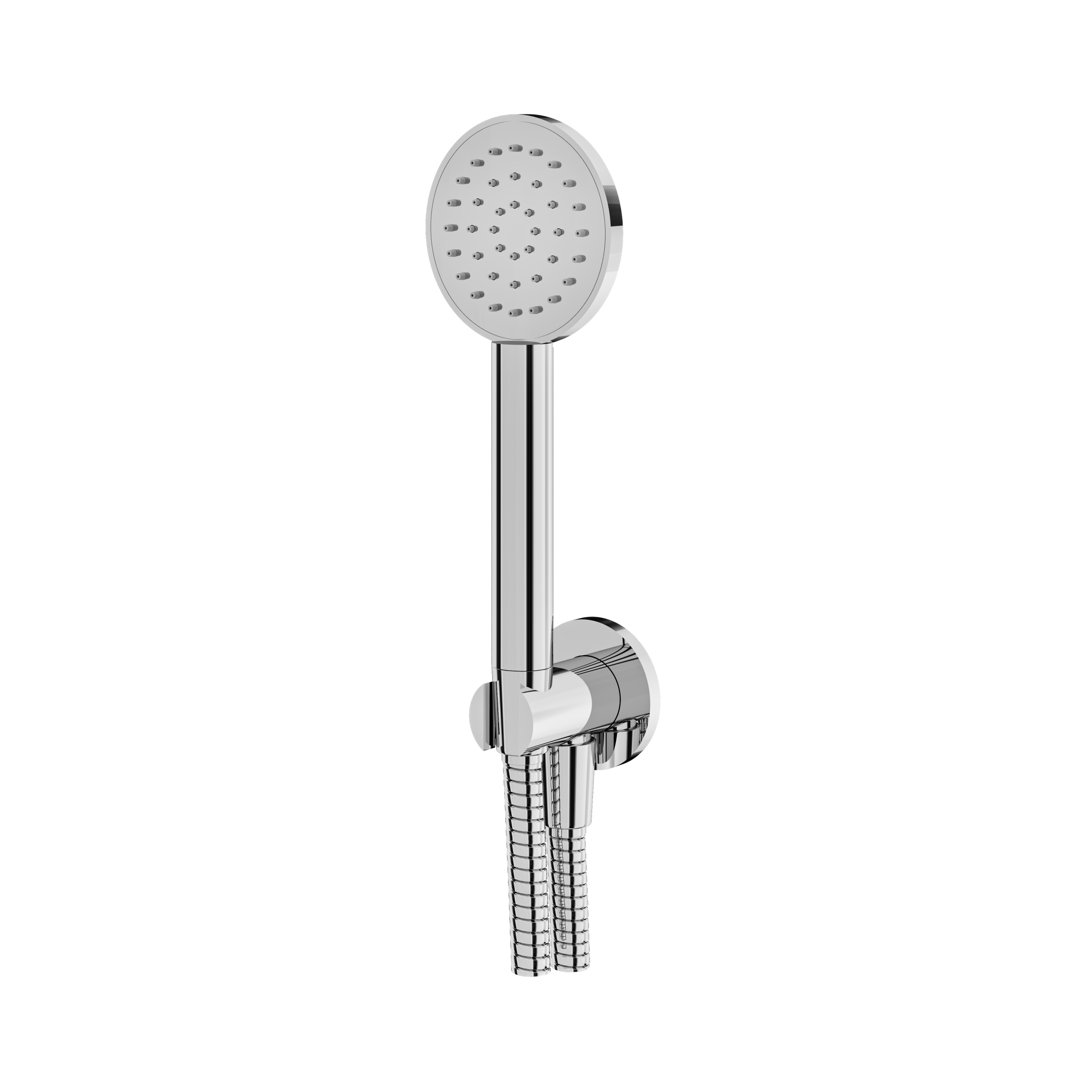 polished chrome hand shower