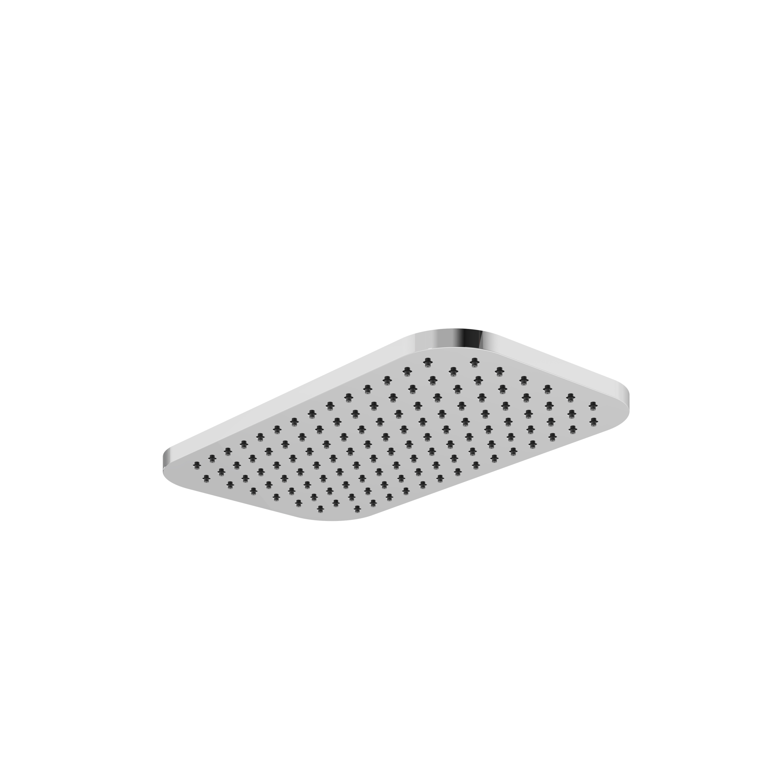 polished chrome shower head