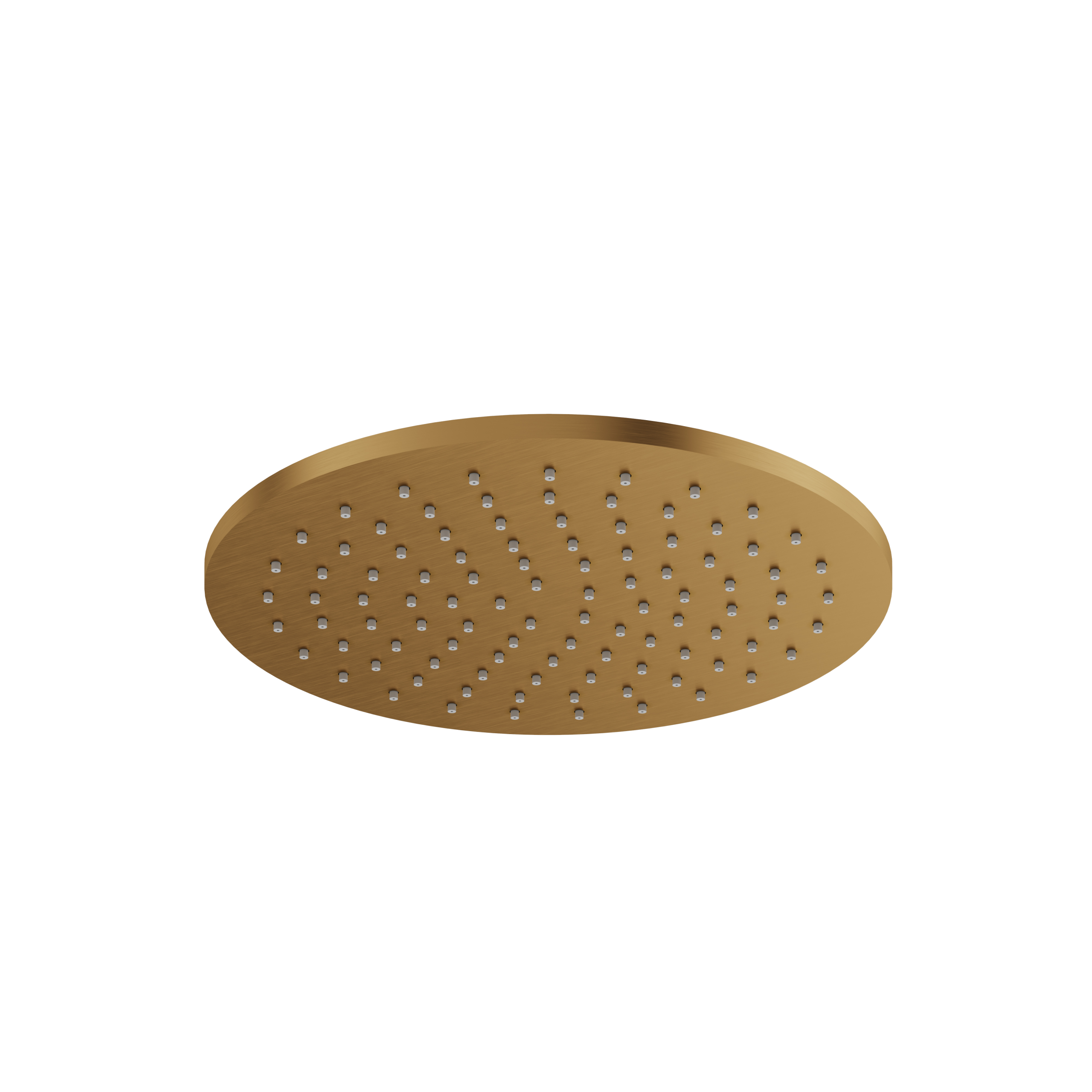 Aquabrass 10" Round Rainhead by Aquabrass