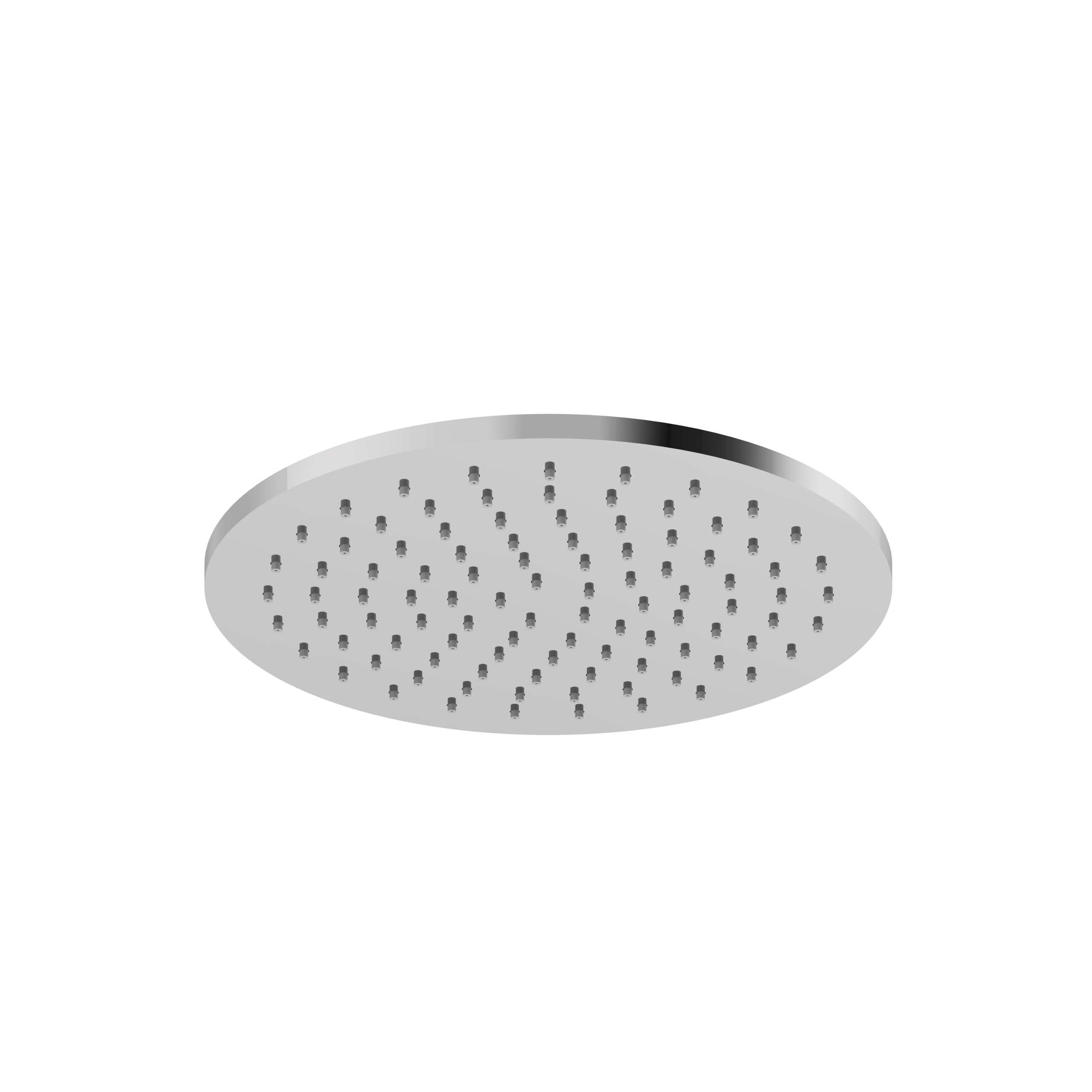 polished chrome shower head