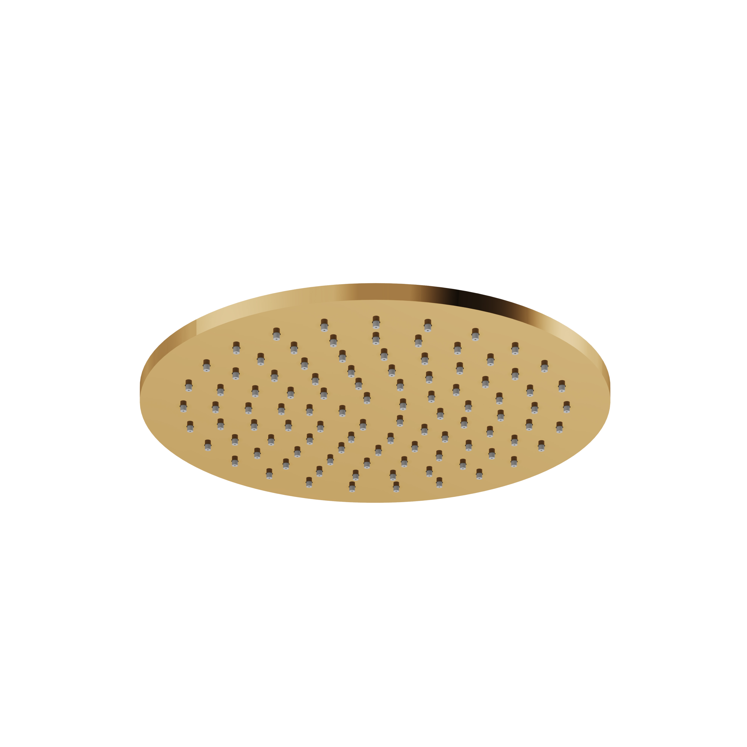 Aquabrass 10" Round Rainhead by Aquabrass