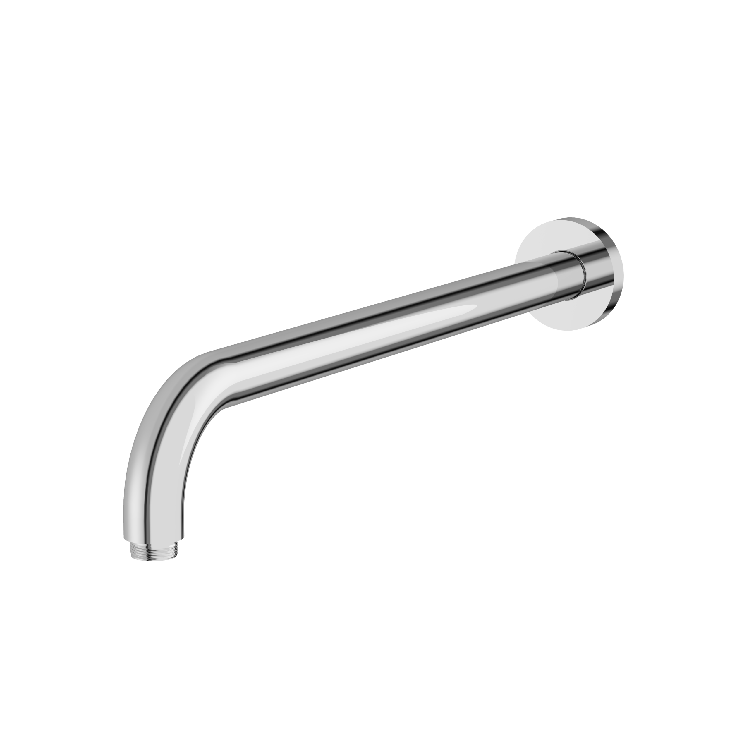 polished chrome shower head