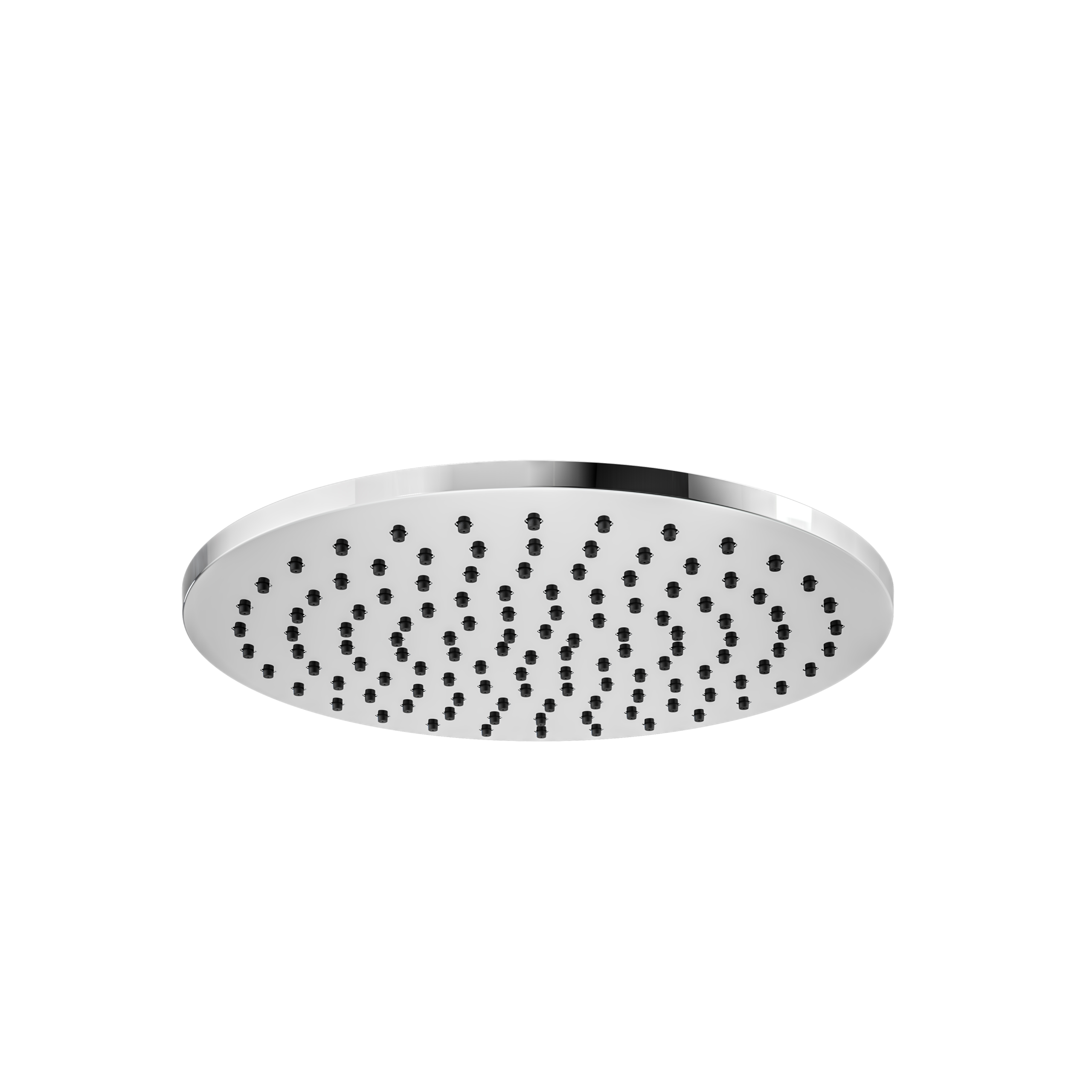 polished chrome shower head