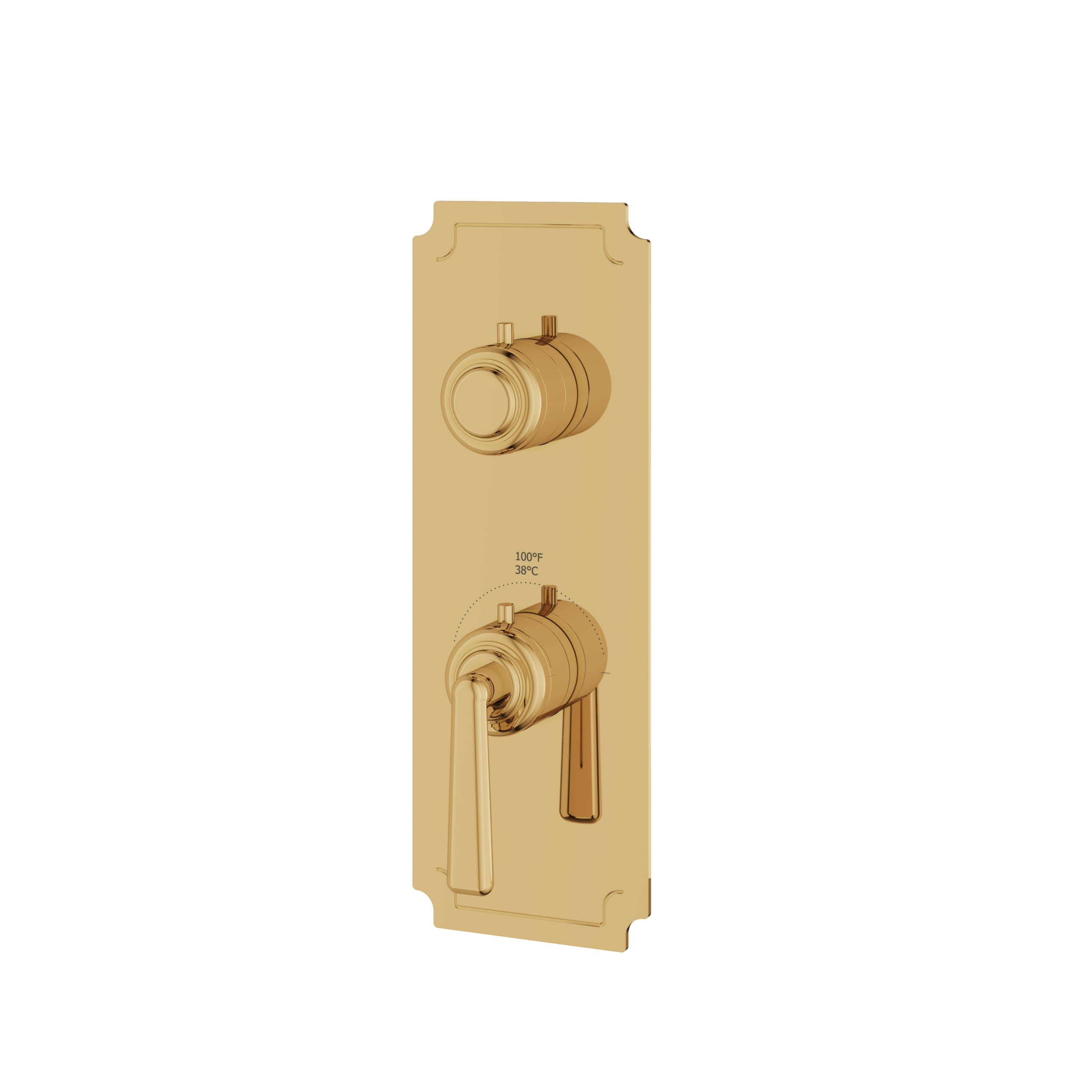 Aquabrass Forum Trim Set - 2 Way Shared for T12123 Valve by Aquabrass