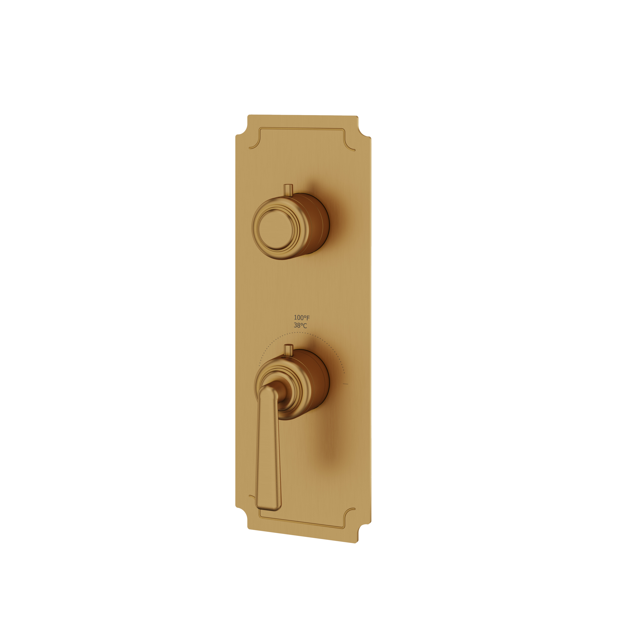 Aquabrass Forum Trim Set - 2 Way Non Shared for T12123 Valve by Aquabrass