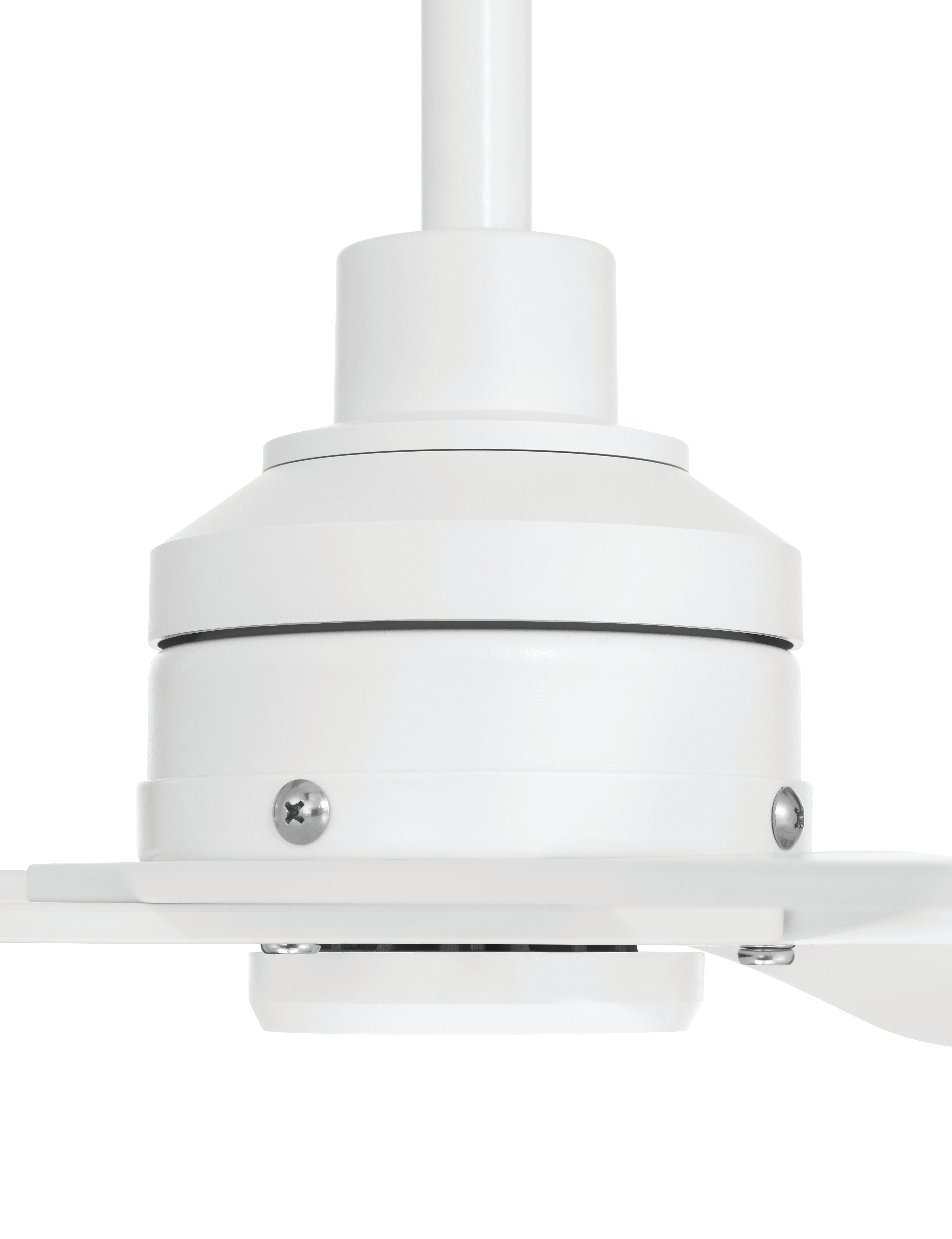 white ceiling fans