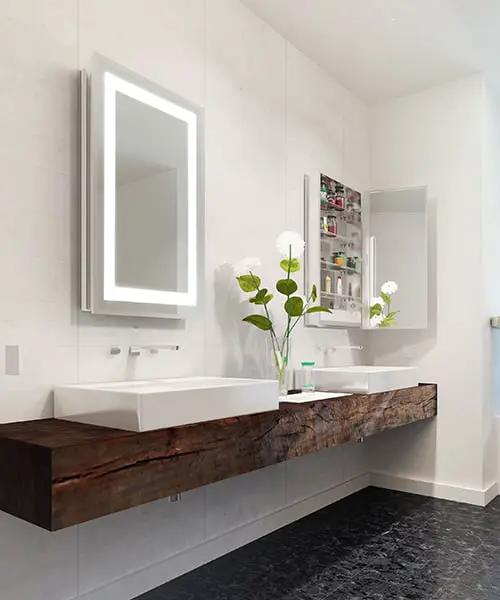 mirrored cabinet