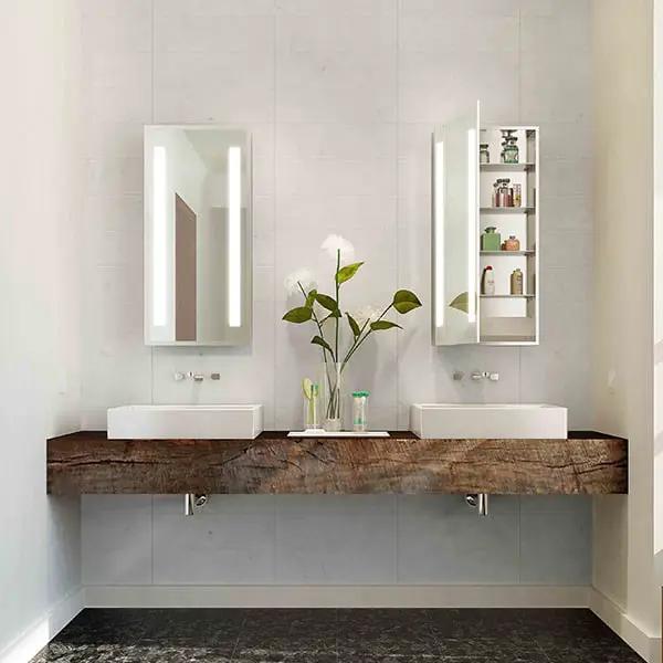 mirrored cabinet