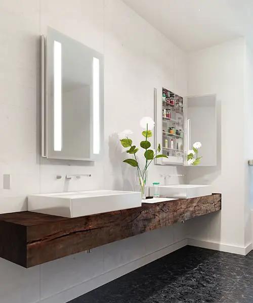 mirrored cabinet