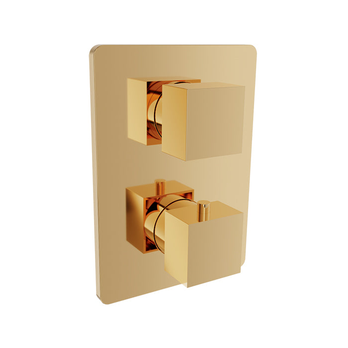 Baril Rec Complete Thermostatic Pressure Balanced Shower Control Valve with 2-Way Diverter - Shared Ports