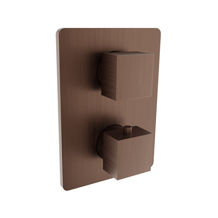 Baril Rec Complete Thermostatic Pressure Balanced Shower Control Valve with 2-Way Diverter - Shared Ports