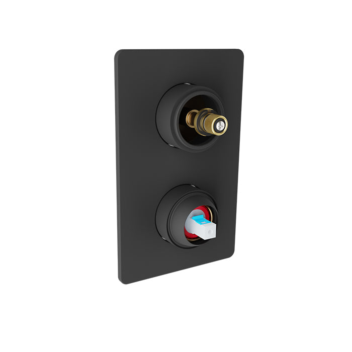 Baril Air Pressure Balanced Shower Control Valve with 2-Way Diverter without Handle - Non-Shared Port