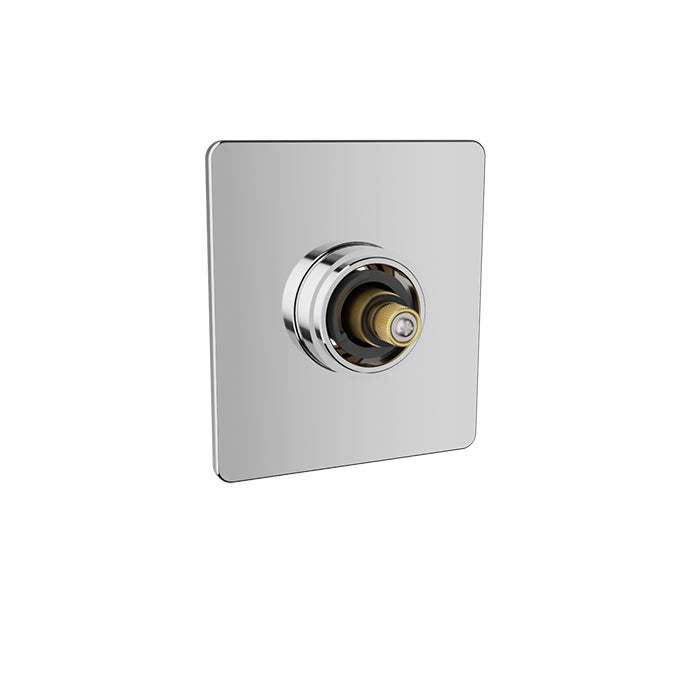 chrome thermostatic valve
