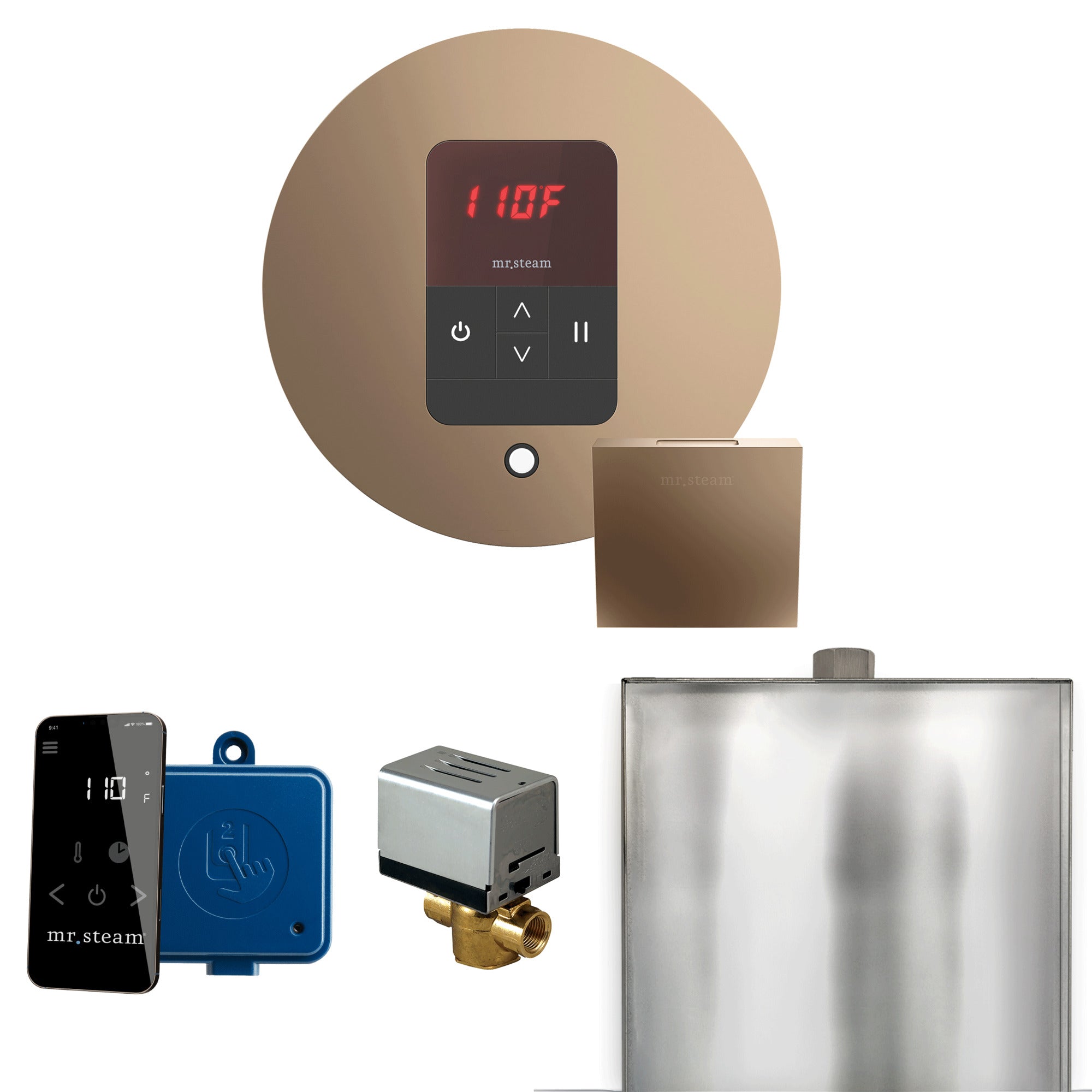 Mr Steam Basic Butler Steam Shower Control Package with Round iTempo Control and Steamhead