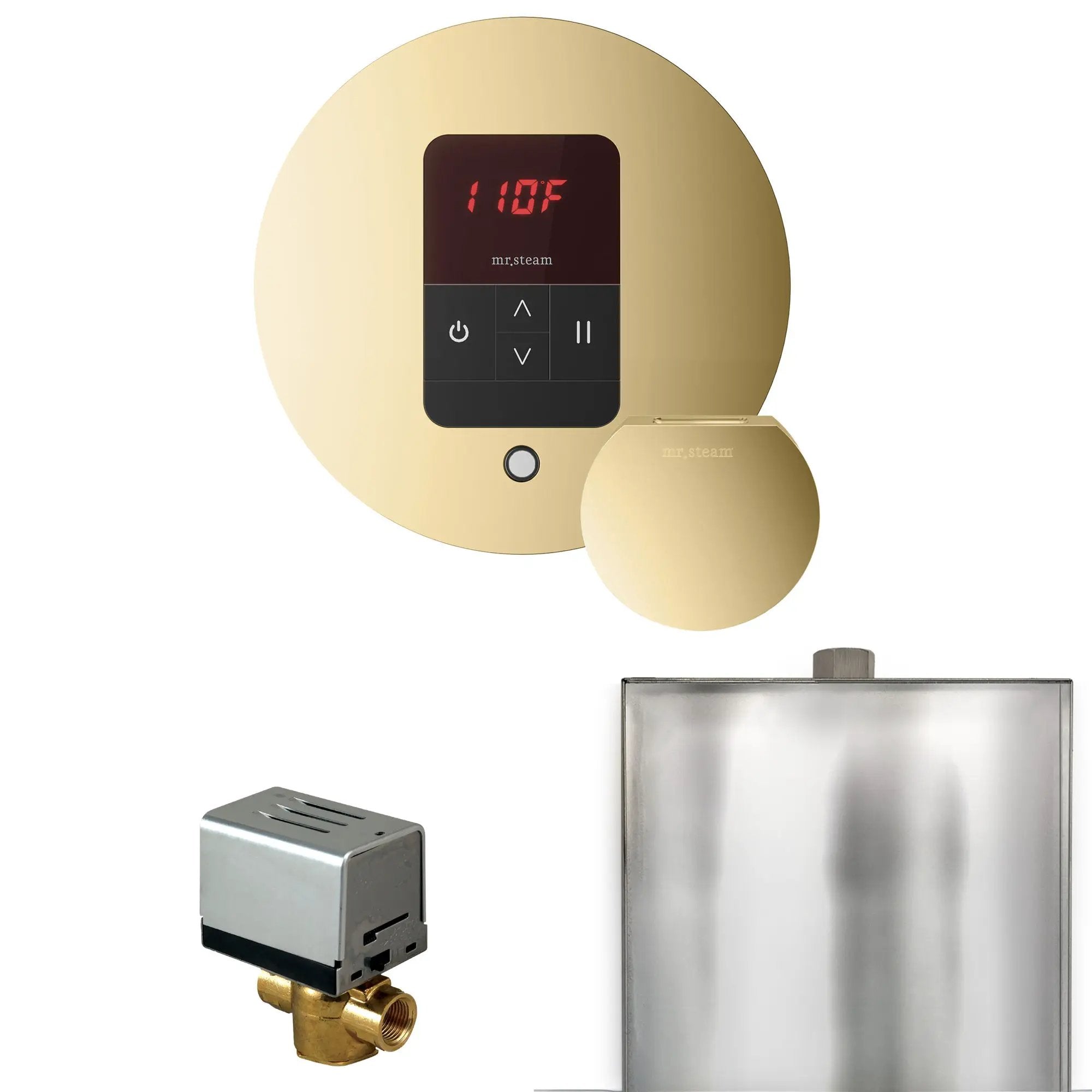 Mr Steam Basic Butler Steam Shower Control Package with Round iTempo Control and Steamhead by Mr Steam