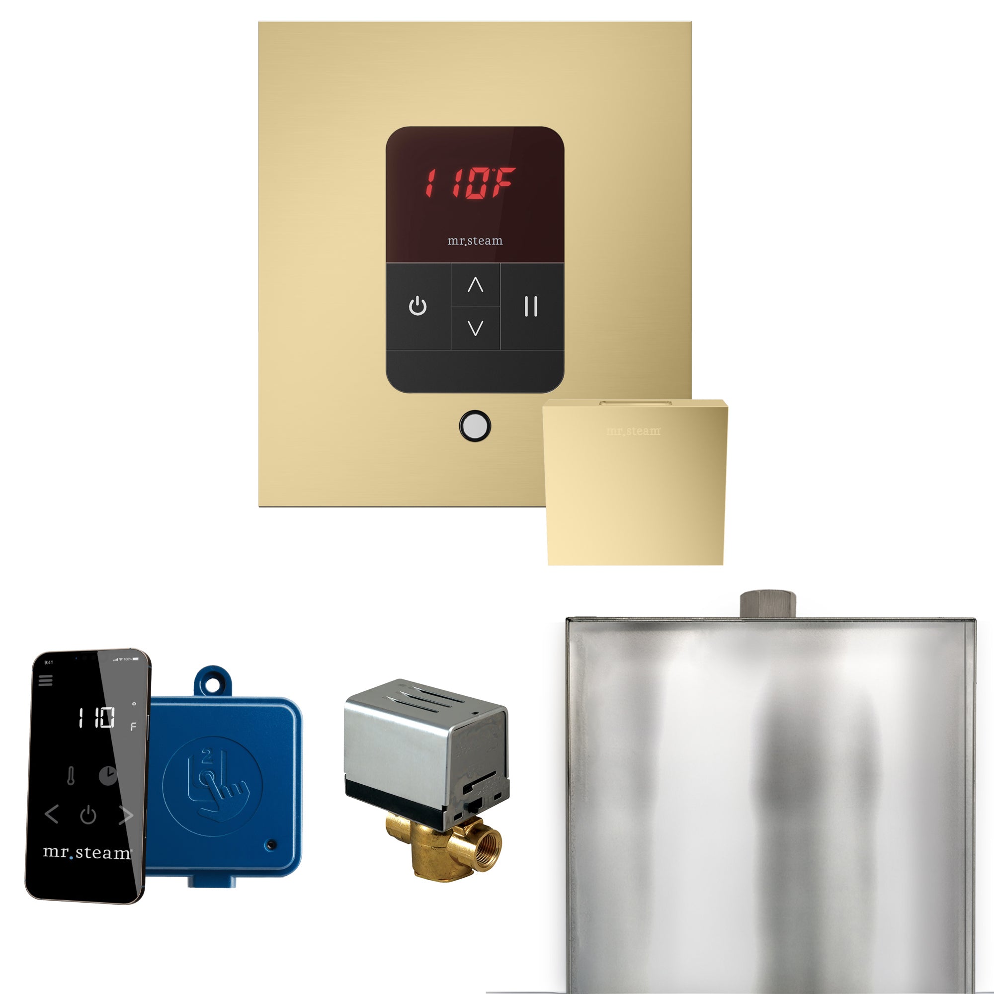 Mr Steam Basic Butler Steam Shower Control Package with Square iTempo Control and Linear Steamhead