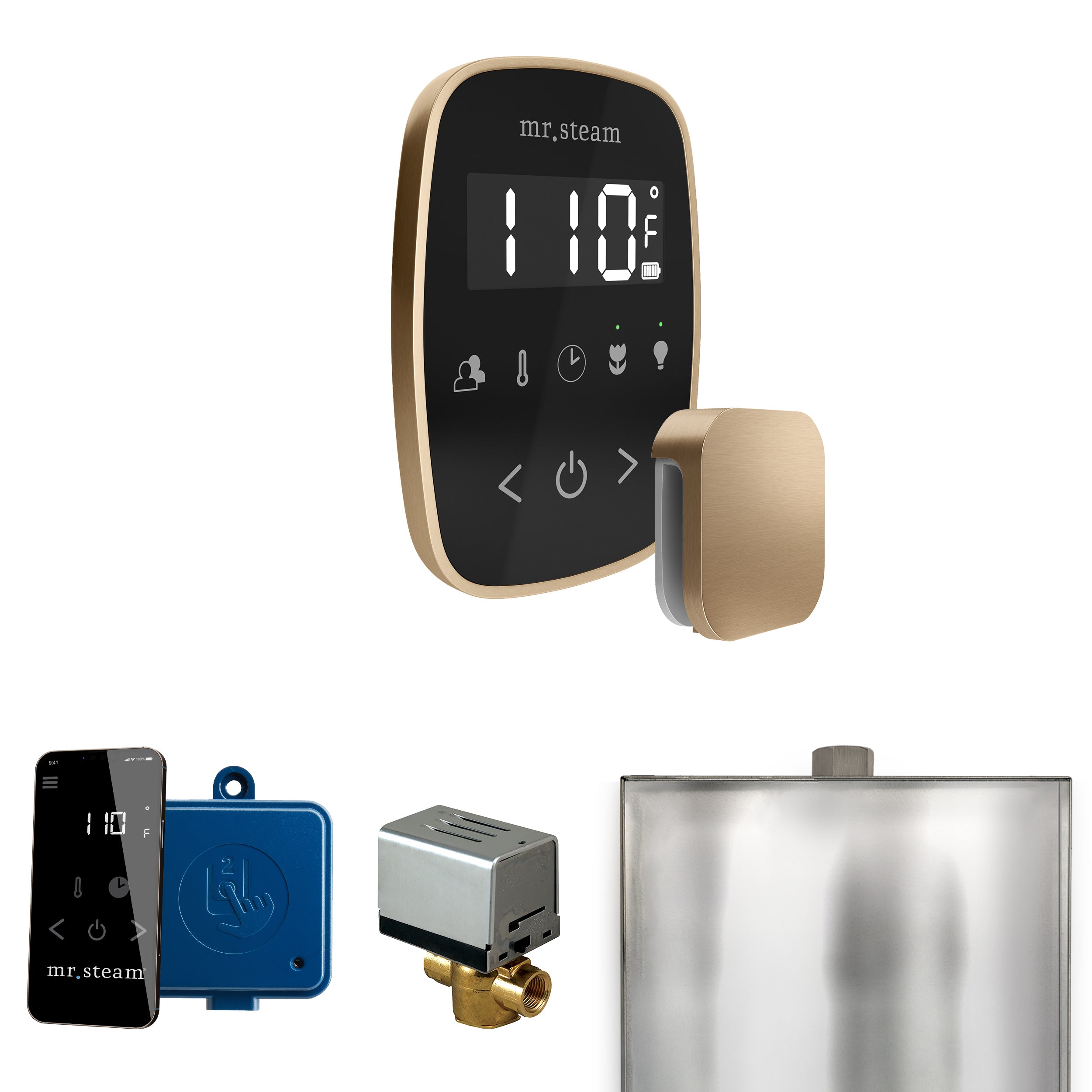 Mr Steam ButlerFlex Steam Shower Control Package with TempoFlex Control and Steamhead